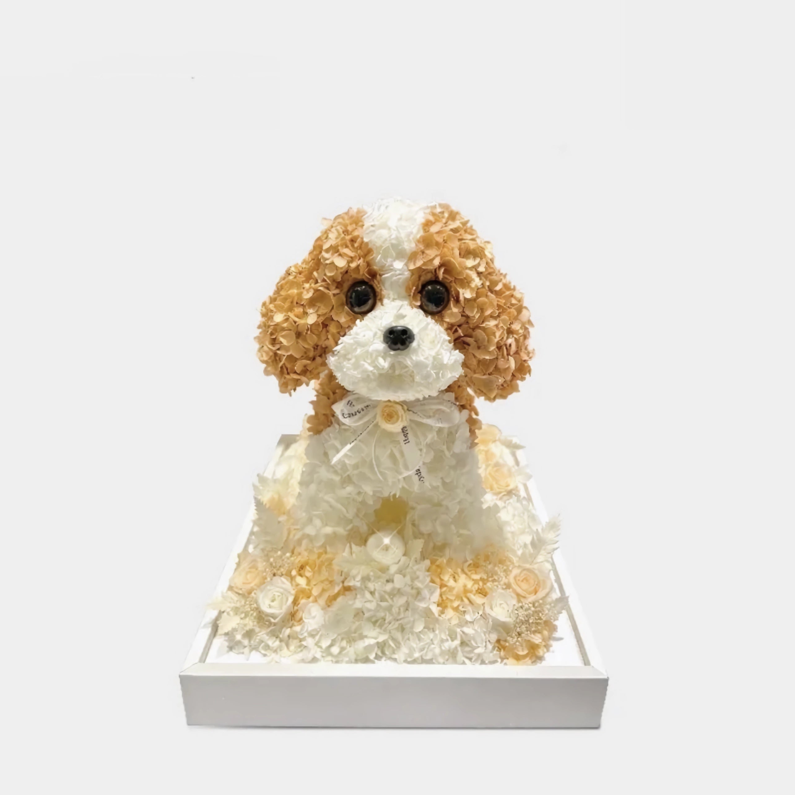 Rose Poodle Rose Poodle