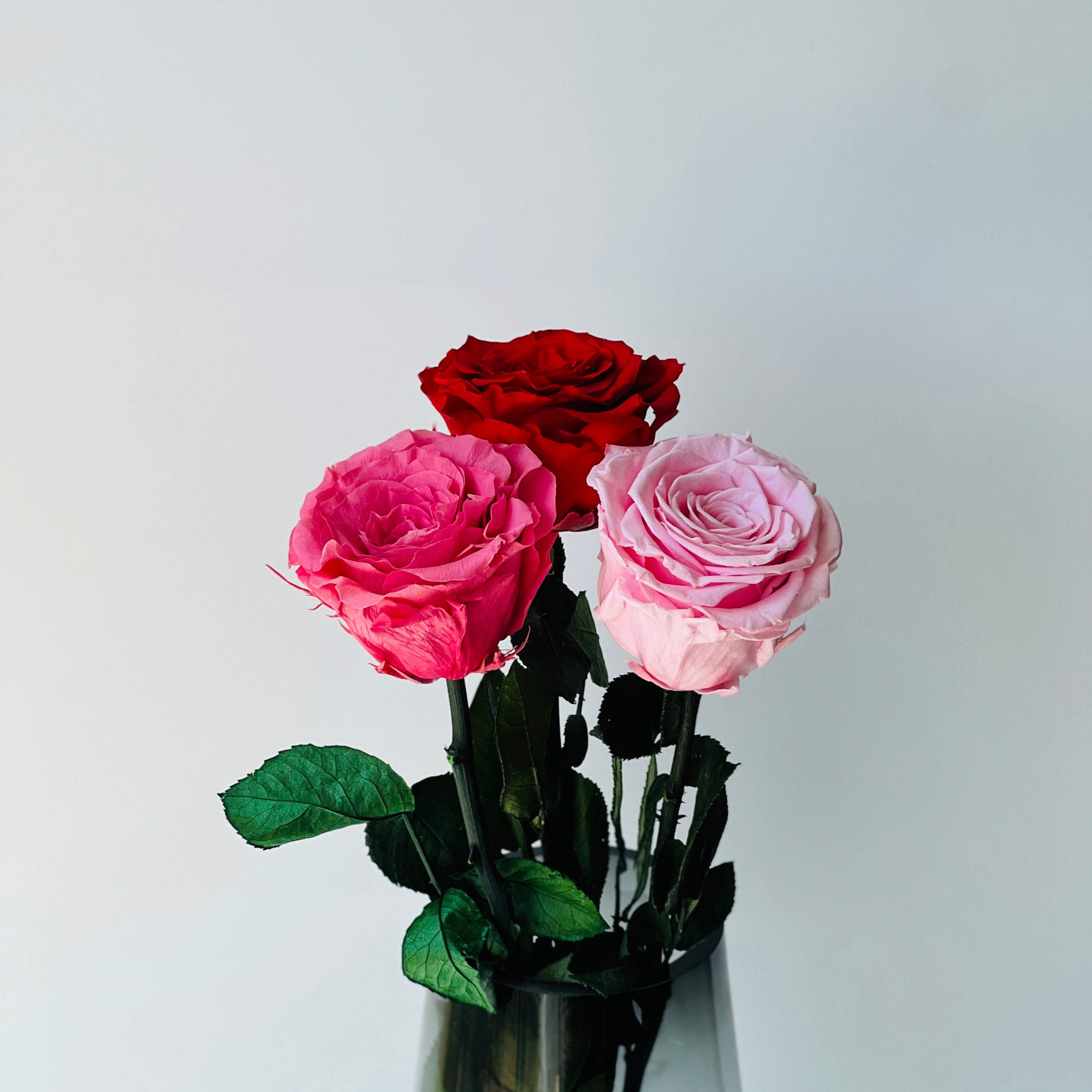 Elegant long stem rose arrangement featuring a single rose, perfect as an eternity flower for timeless beauty.