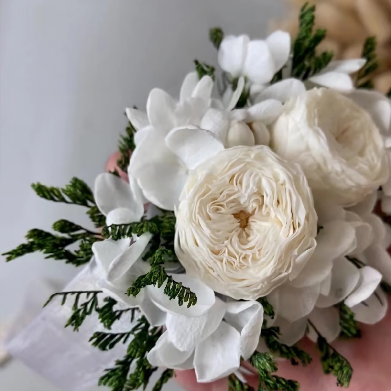 Preserved Flower corsage real david austin rose corsage