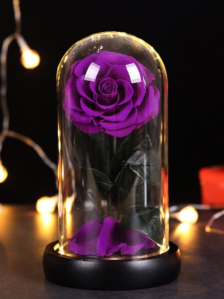 Elegant Beauty and the Beast Preserved Purple Rose – Timeless Forever Rose Gift