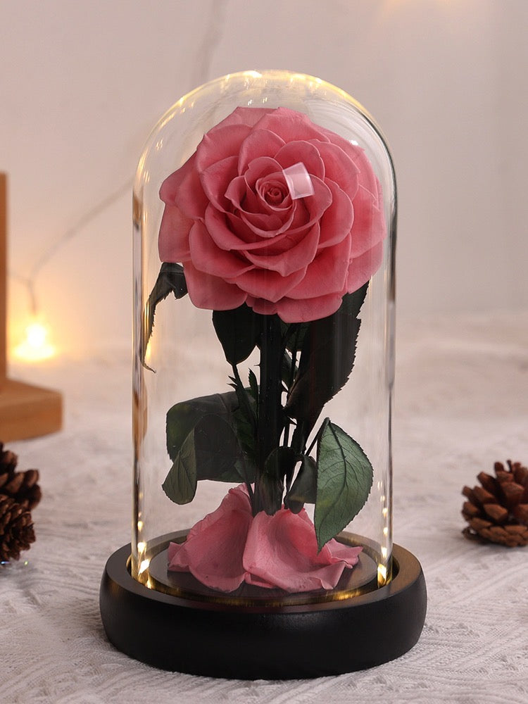 Premium Beauty and the Beast Dusty Pink Rose – Stunning Preserved Forever Rose in Glass Dome