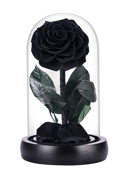 Exclusive Black Rose from Beauty and the Beast – Luxury Preserved Forever Rose Gift