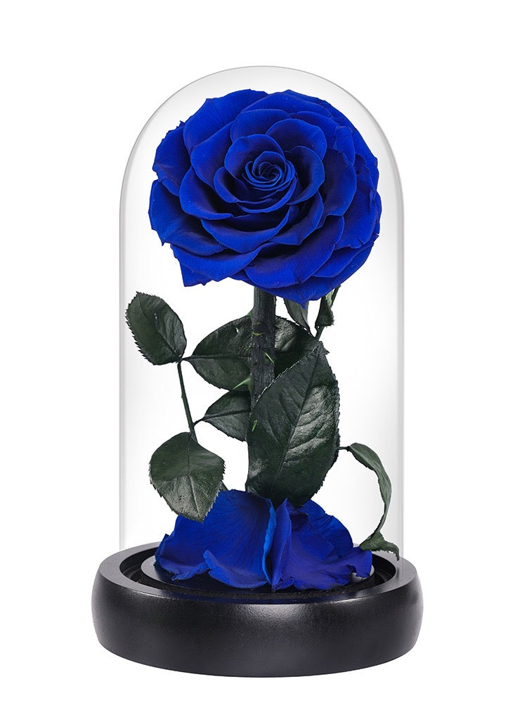 Beauty and the Beast Blue Rose – High-Quality Preserved Forever Rose for Special Occasions