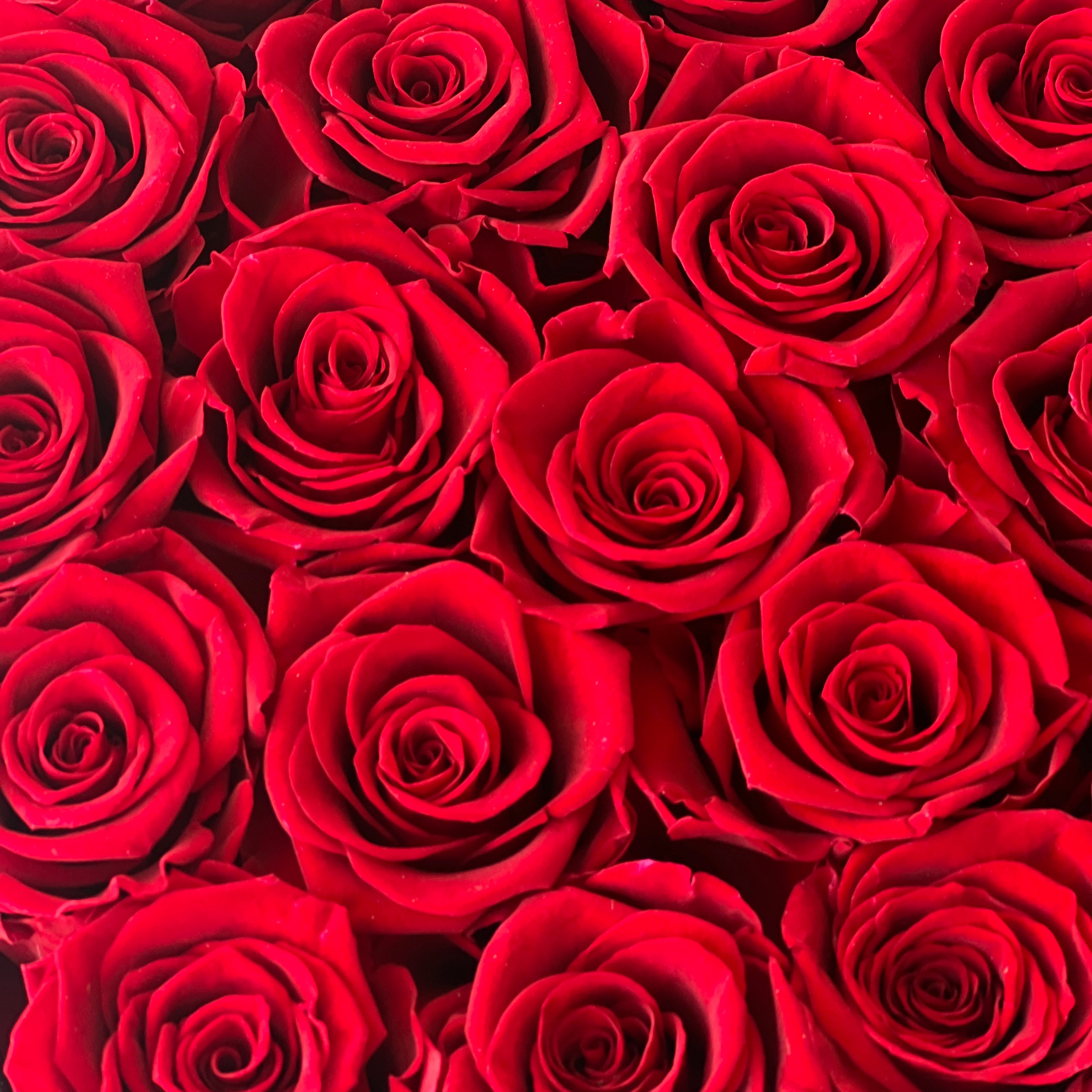 The Heart Hat Box With Roses features 20 Ecuadorian eternity red roses arranged in a black heart-shaped hatbox. This elegant and timeless rose gift lasts for 3-6 years, perfect for expressing love or adding a touch of sophistication to any space.