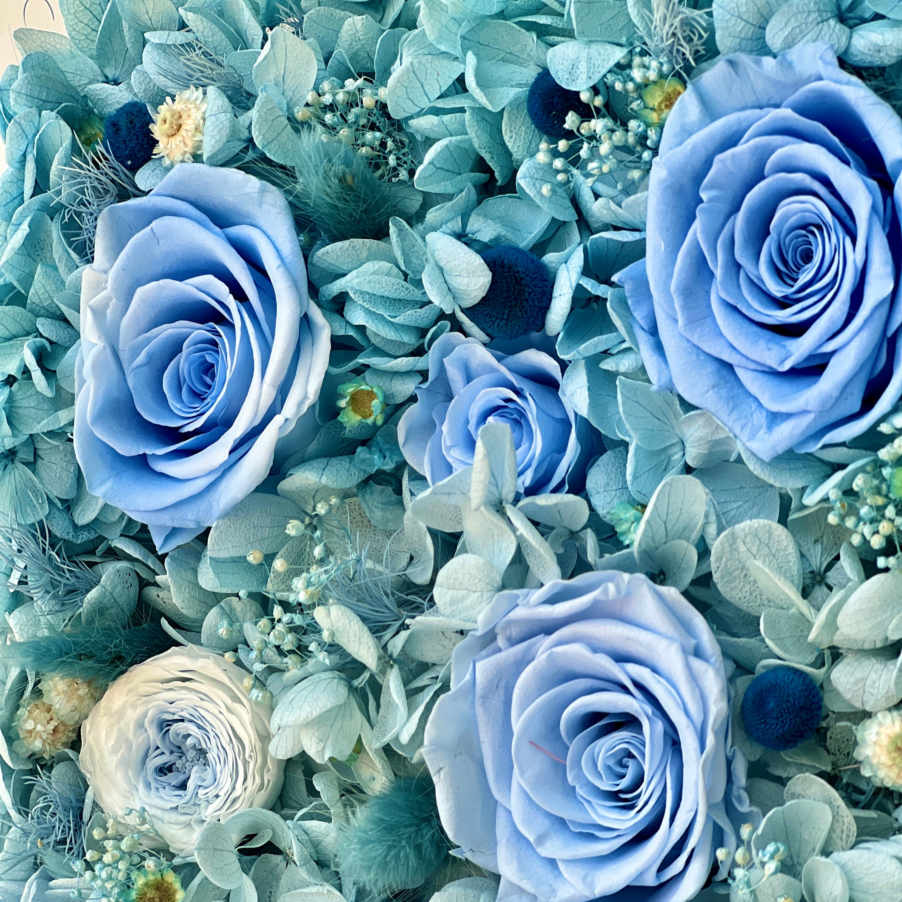 The Enchanted Rose Symphony showcases a stunning gradient of preserved roses and hydrangeas, blending soft blush pink, lavender, and tiffany blue hues. This eternity flower arrangement is a perfect centerpiece for any occasion.