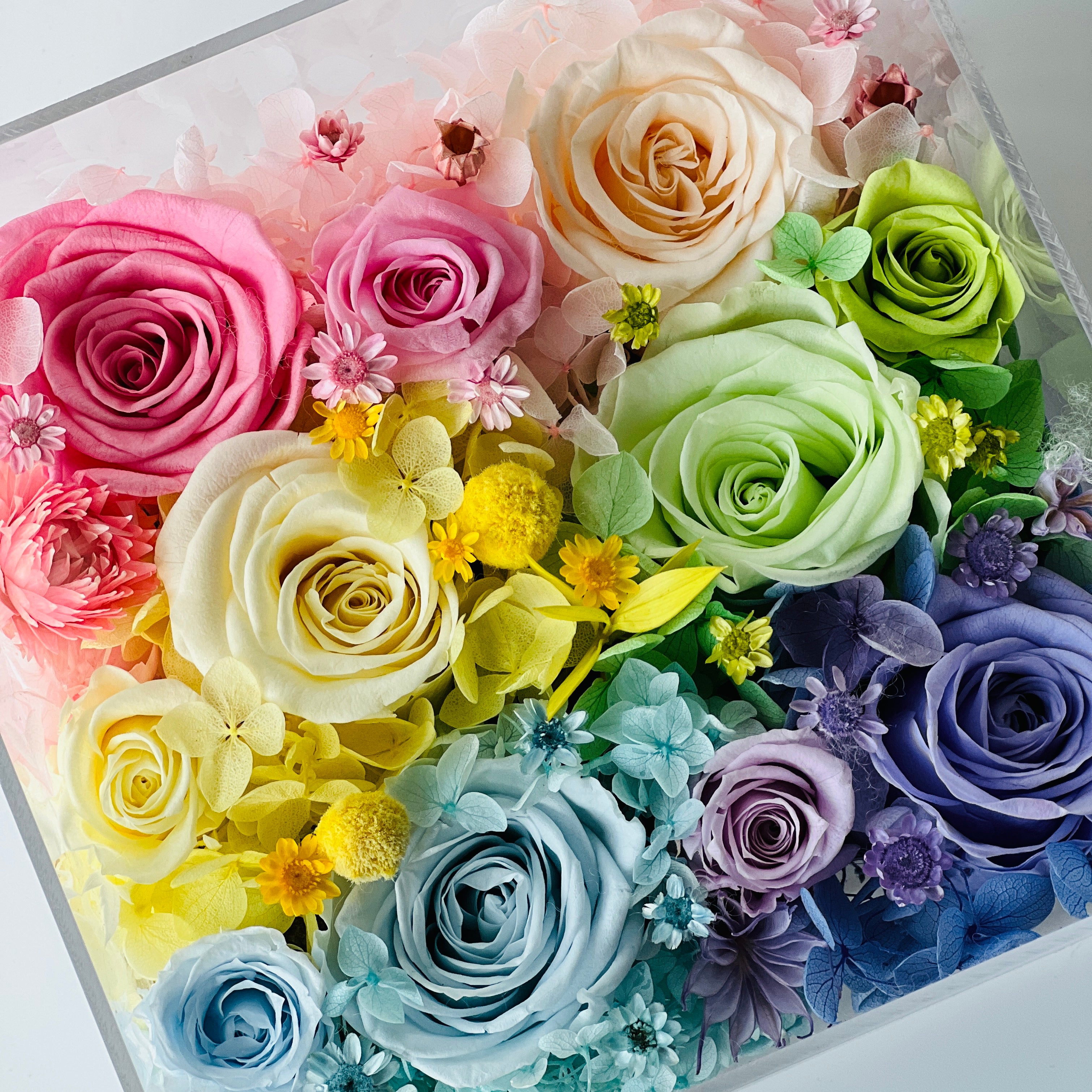 macaroon pastel color Preserved eternity roses with hydrangeas in a gift box
