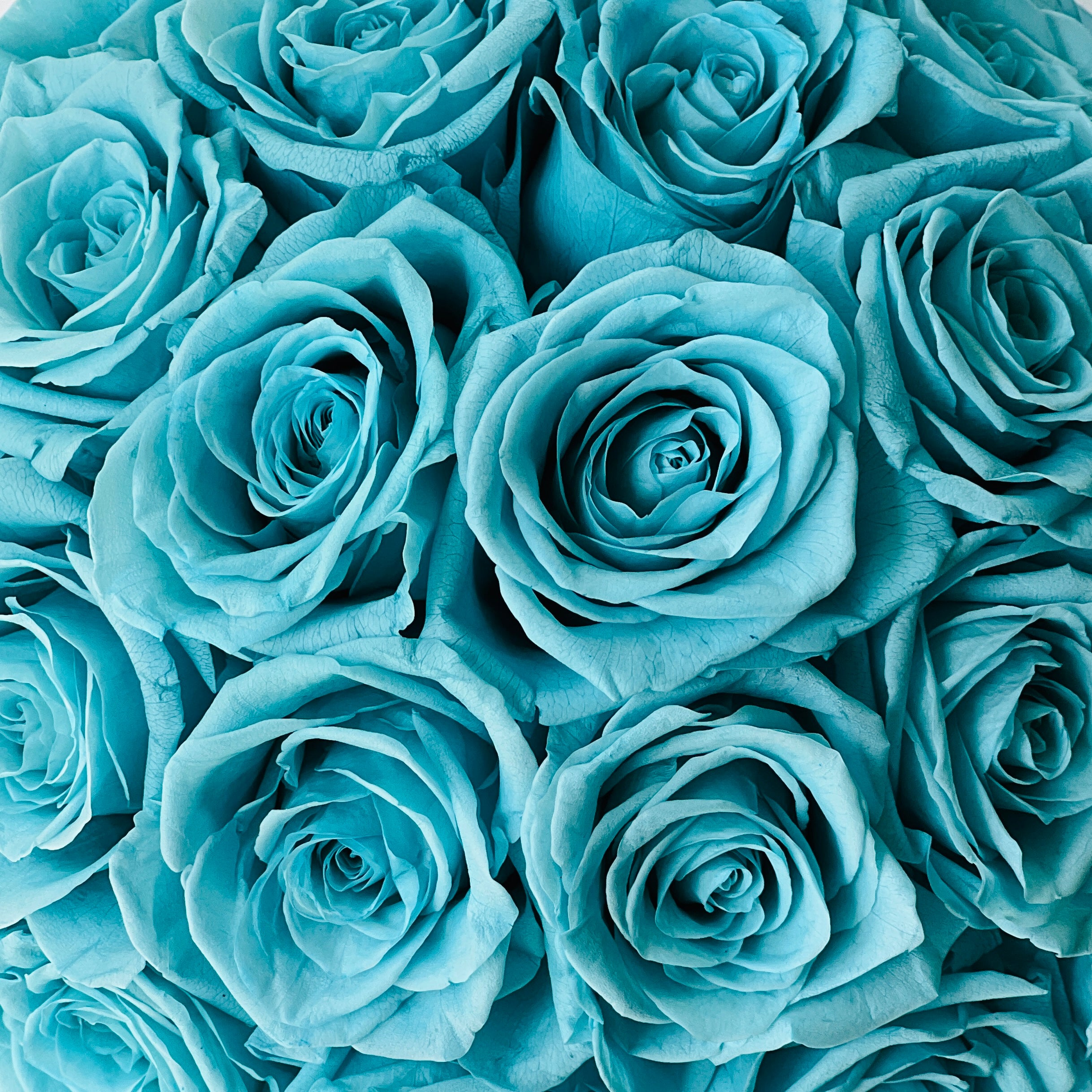 The Tiffany Blue Rose Hatbox features preserved roses on a sleek grey base inscribed with "love is eternal." This serene eternity rose arrangement offers a modern statement of enduring affection, perfect for adding tranquility to any space or as a heartfelt gift.