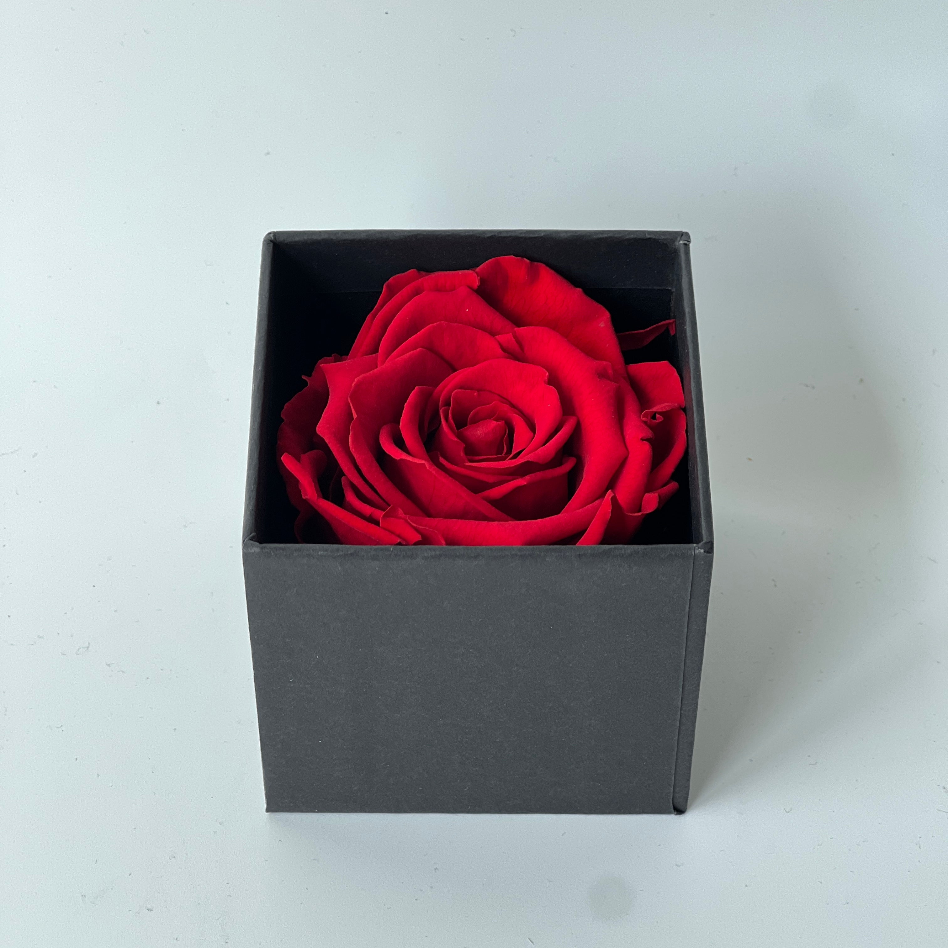 The Solitary Red Rose Box features a single luxurious preserved red rose in a matte black box, symbolizing timeless love and devotion. This elegant eternity rose gift requires no maintenance and adds a touch of classic beauty to any space, perfect for special occasions like Valentine's Day or anniversaries.