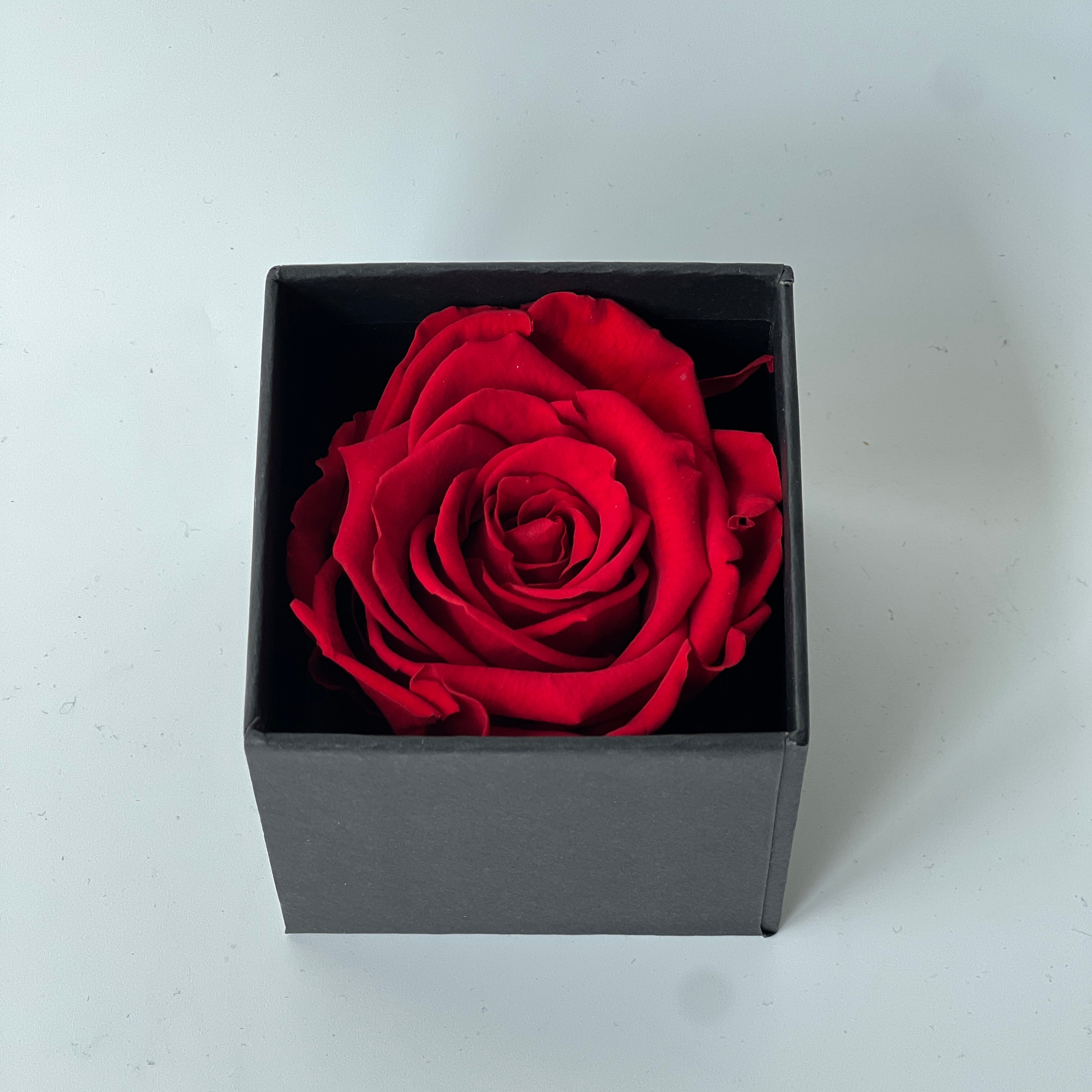 The Solitary Red Rose Box features a single luxurious preserved red rose in a matte black box, symbolizing timeless love and devotion. This elegant eternity rose gift requires no maintenance and adds a touch of classic beauty to any space, perfect for special occasions like Valentine's Day or anniversaries.