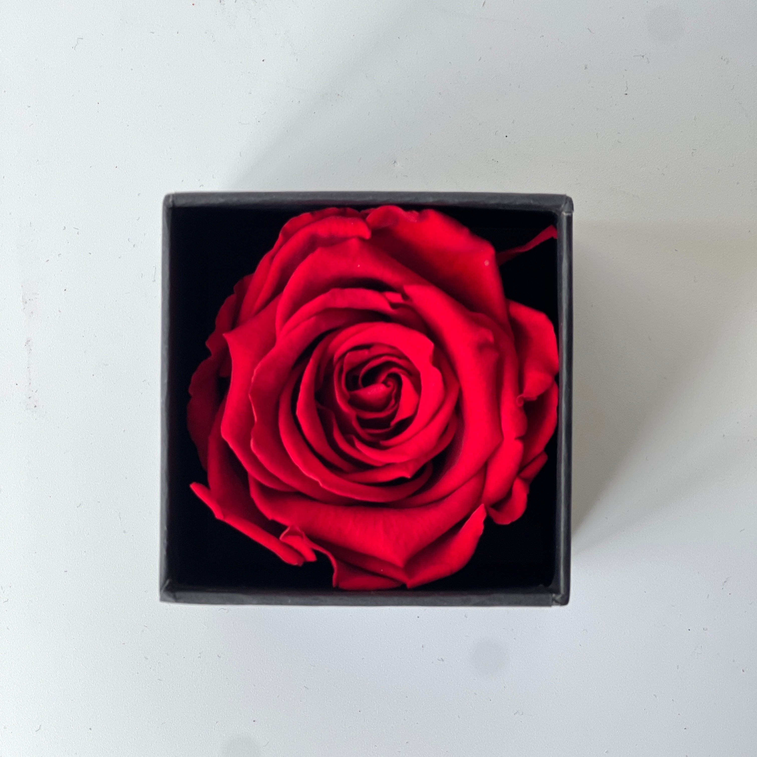 The Solitary Red Rose Box features a single luxurious preserved red rose in a matte black box, symbolizing timeless love and devotion. This elegant eternity rose gift requires no maintenance and adds a touch of classic beauty to any space, perfect for special occasions like Valentine's Day or anniversaries.