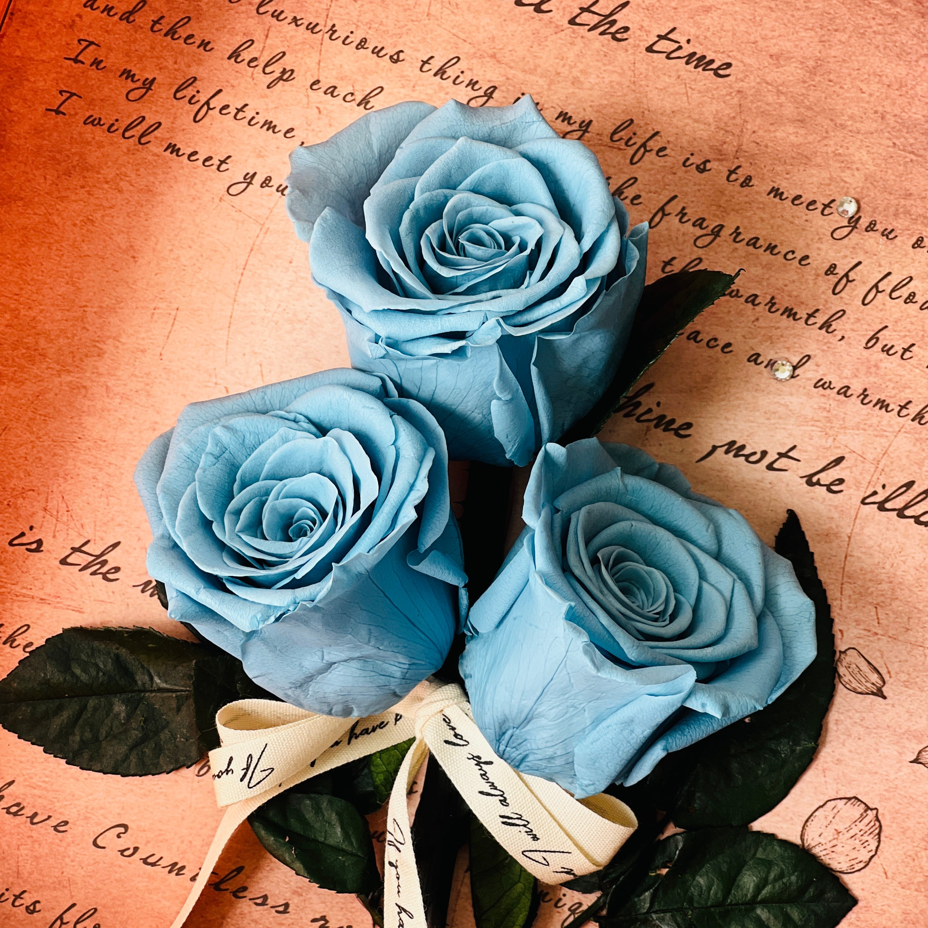 Artful display of preserved ocean blue roses set against handwritten script, wrapped in vintage ribbon within a deep copper frame. Perfect as an elegant eternity rose gift.