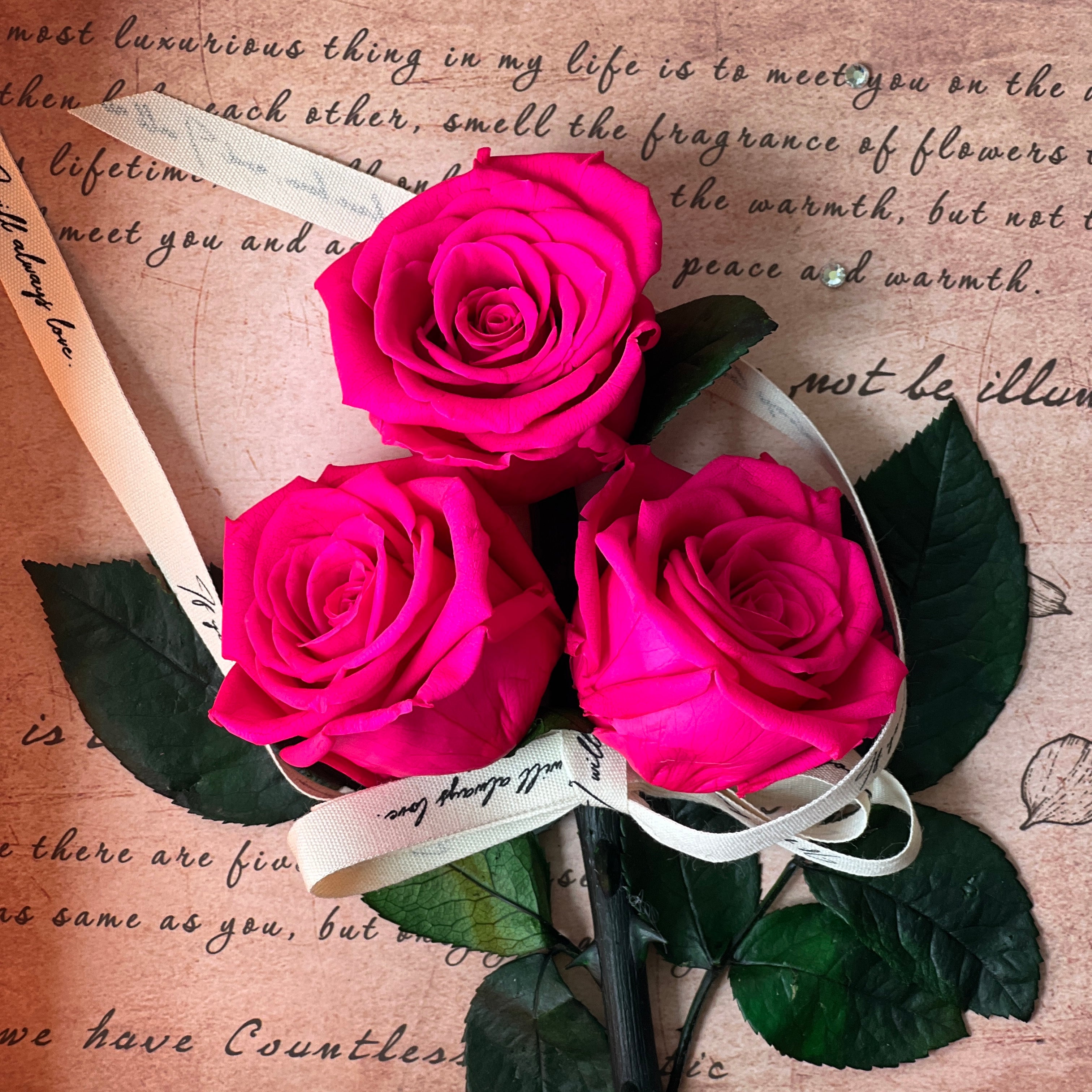 Elegant preserved pink roses arranged against a handwritten script backdrop, wrapped in vintage ribbon and encased in a deep copper frame. A timeless eternity rose gift perfect for special occasions.