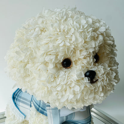 Petal Paw - White Poodle