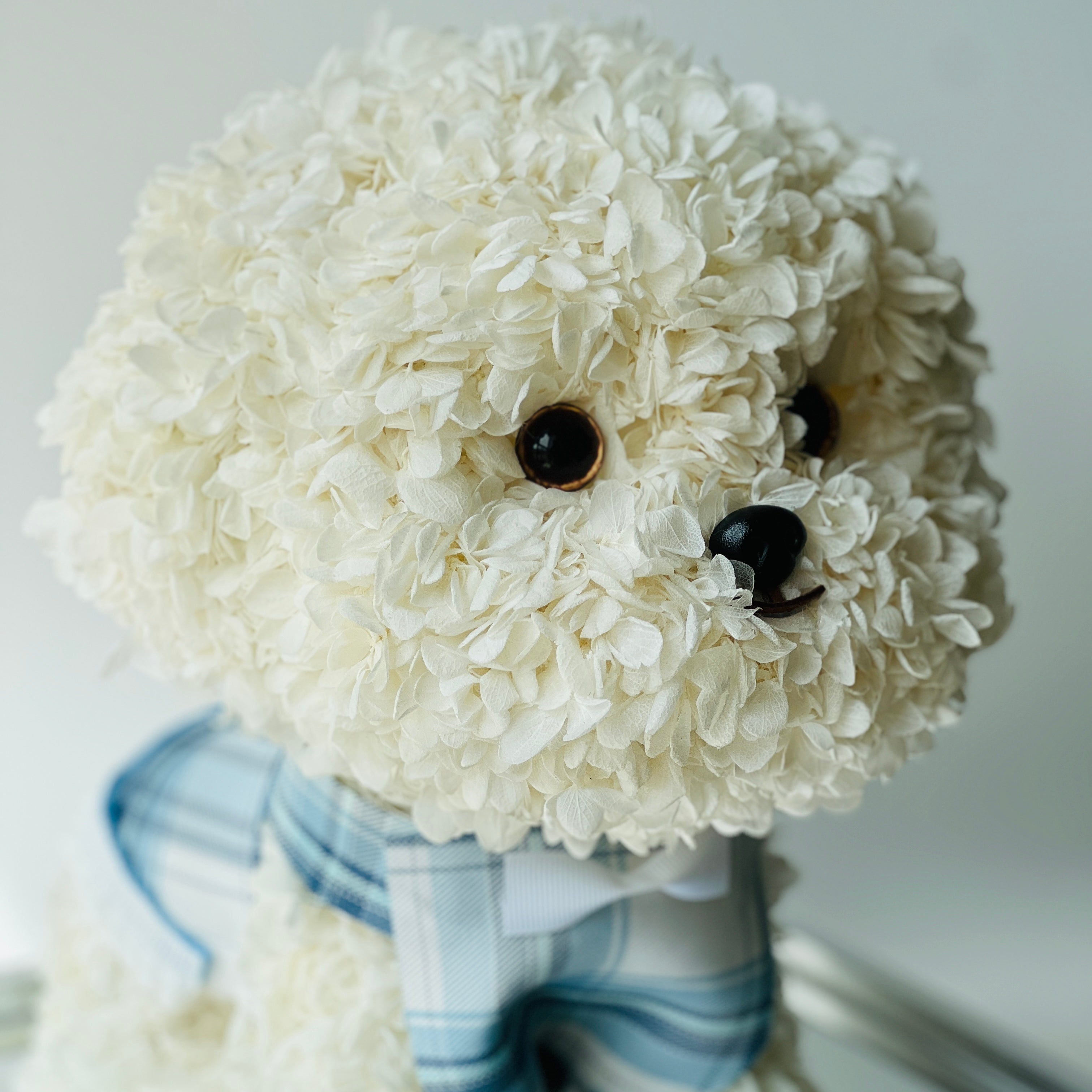 Petal Paw - White Poodle