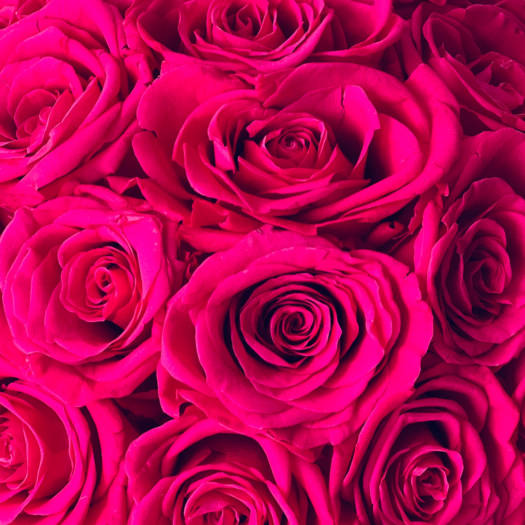 Vivid Pink Preserved Rose Bouquet