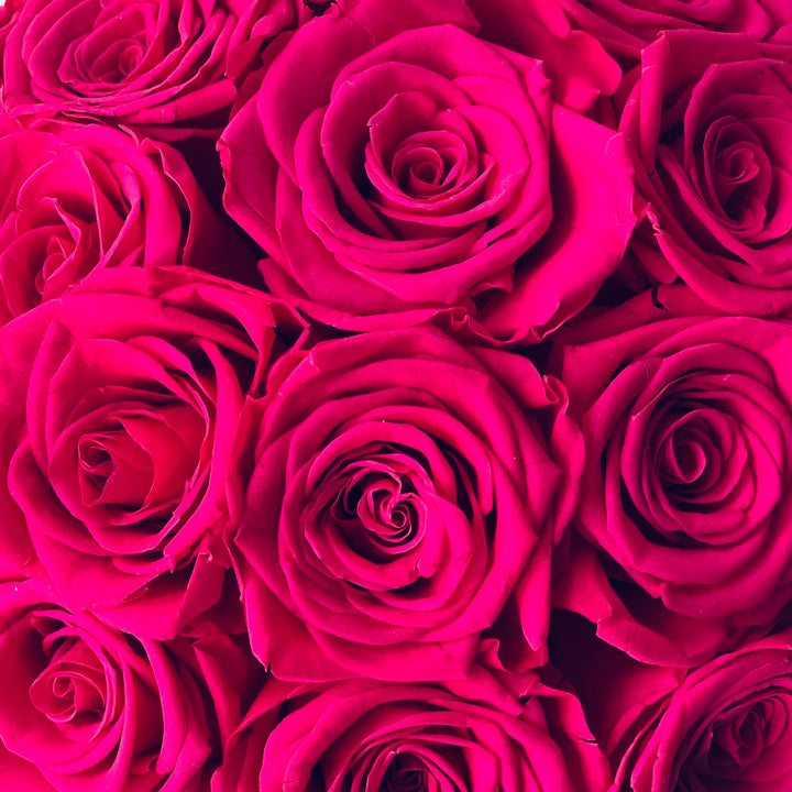 Pink Rose Arrangement