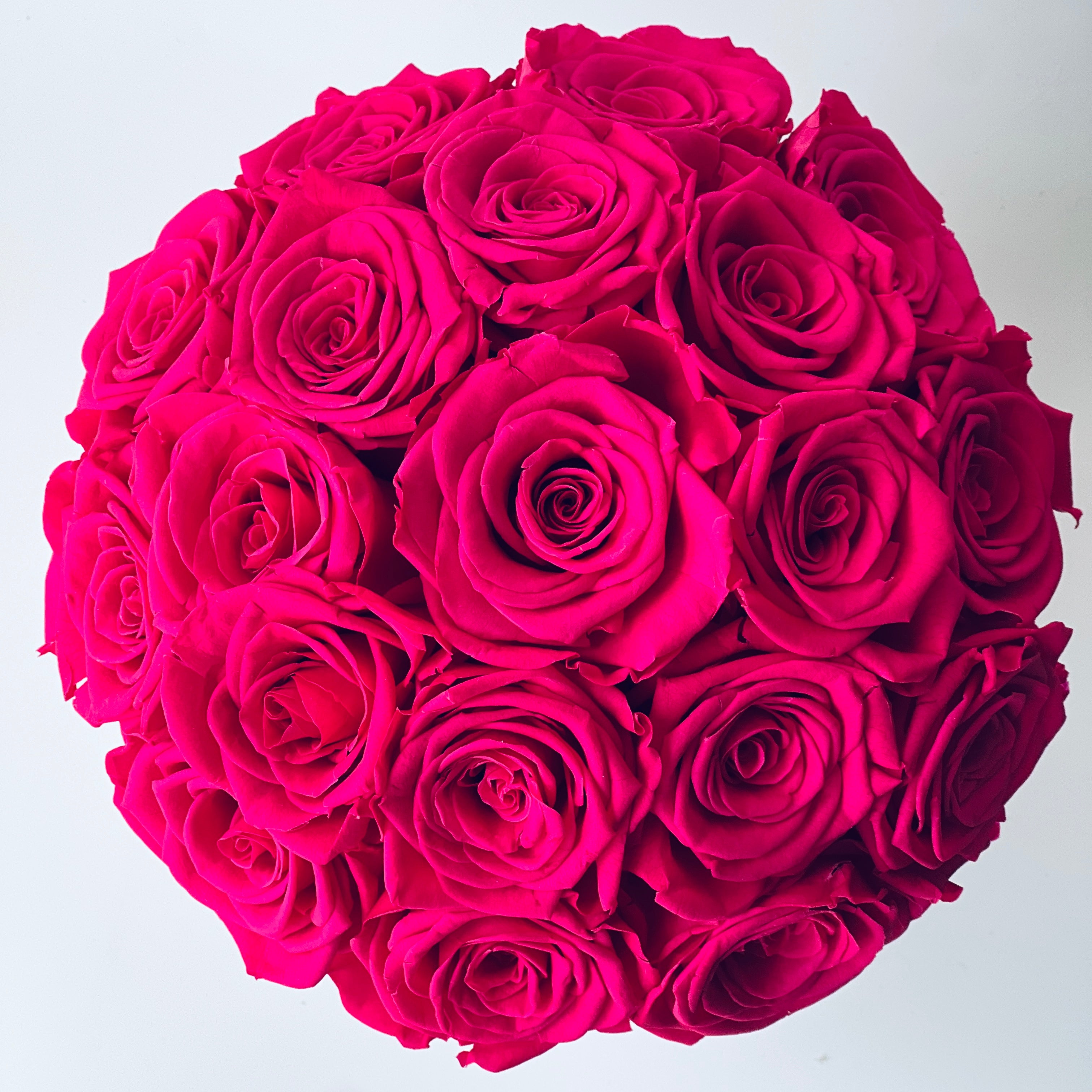 Preserved Pink Rose Arrangement—hot pink blooms, perfectly preserved for lasting beauty. Ideal for any décor or as a heartfelt gift for special occasions.