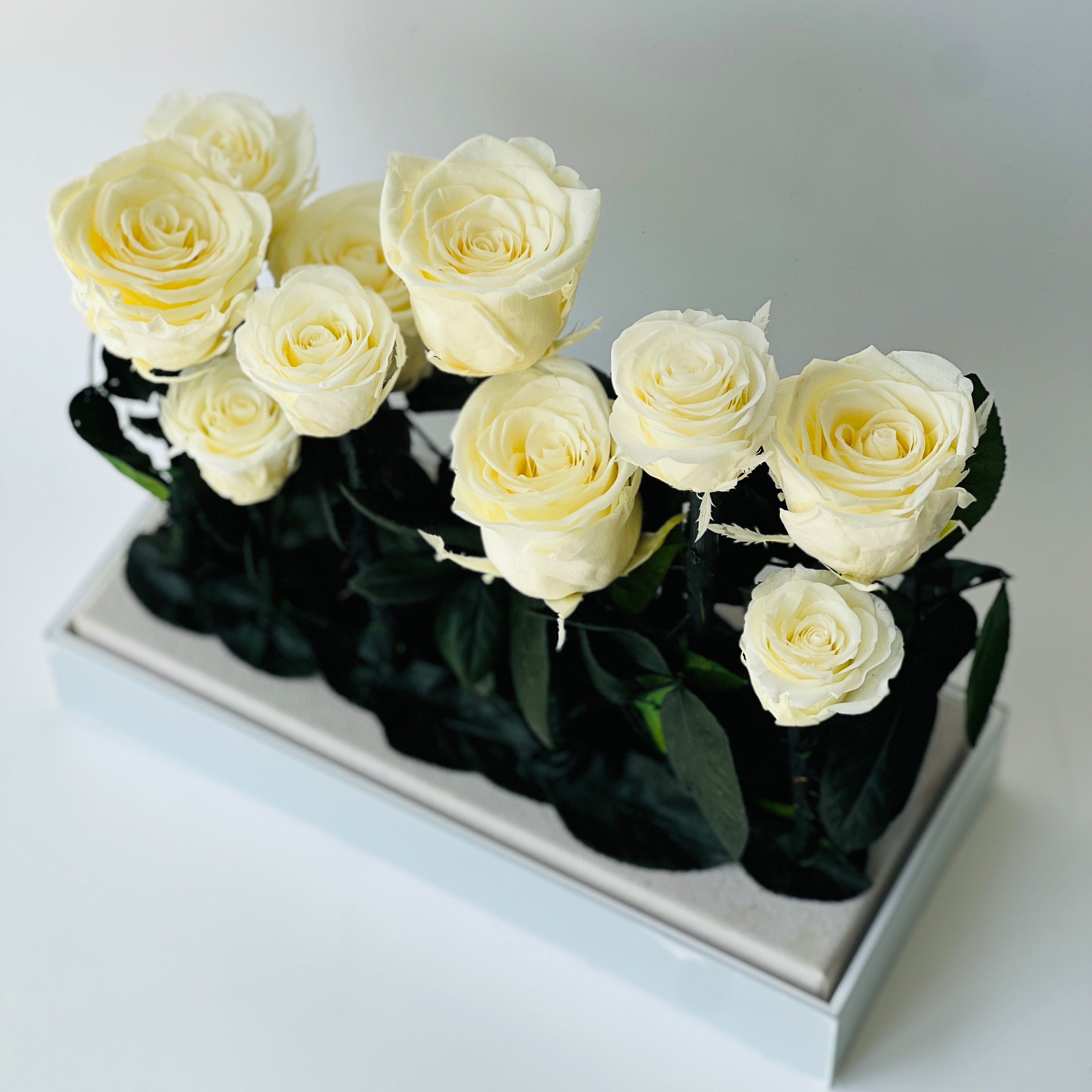 Elegant preserved buttermilk yellow roses arranged in a sleek rectangular box, complemented by deep green foliage. A timeless eternity rose gift perfect for lasting beauty and sophistication.