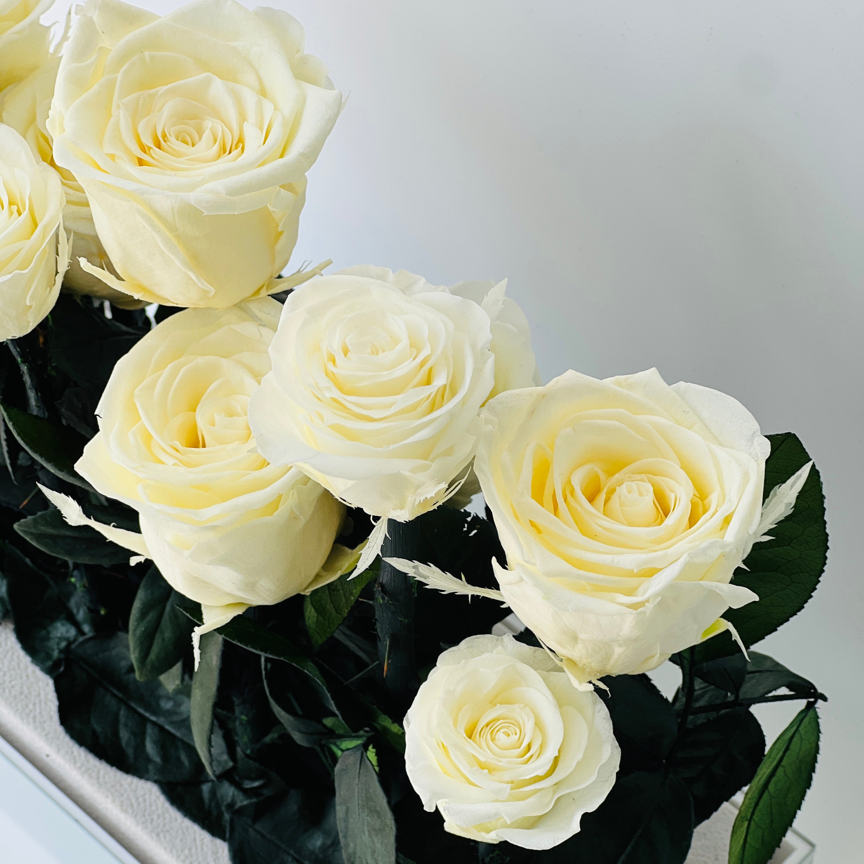 Elegant preserved buttermilk yellow roses arranged in a sleek rectangular box, complemented by deep green foliage. A timeless eternity rose gift perfect for lasting beauty and sophistication.