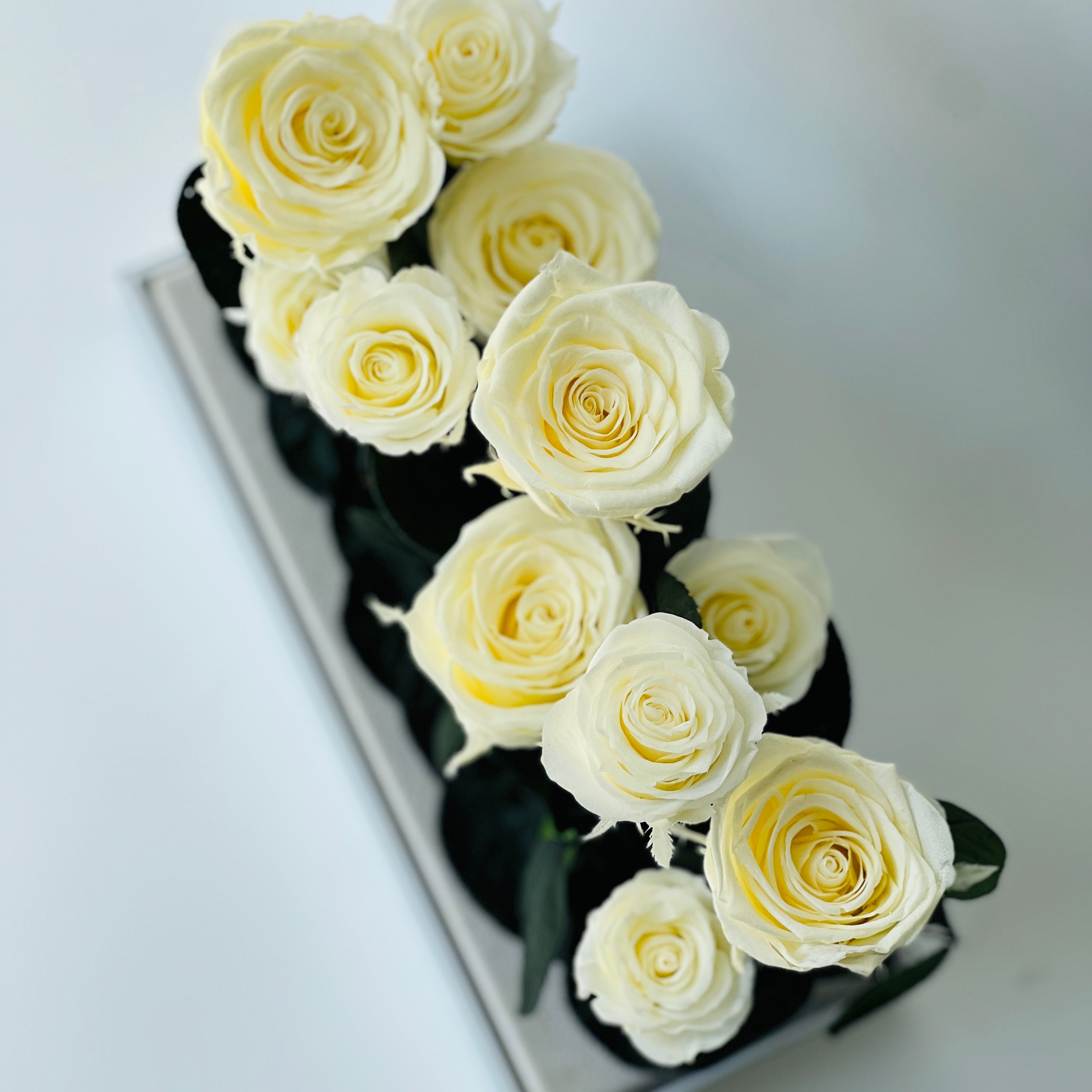 Elegant preserved buttermilk yellow roses arranged in a sleek rectangular box, complemented by deep green foliage. A timeless eternity rose gift perfect for lasting beauty and sophistication.