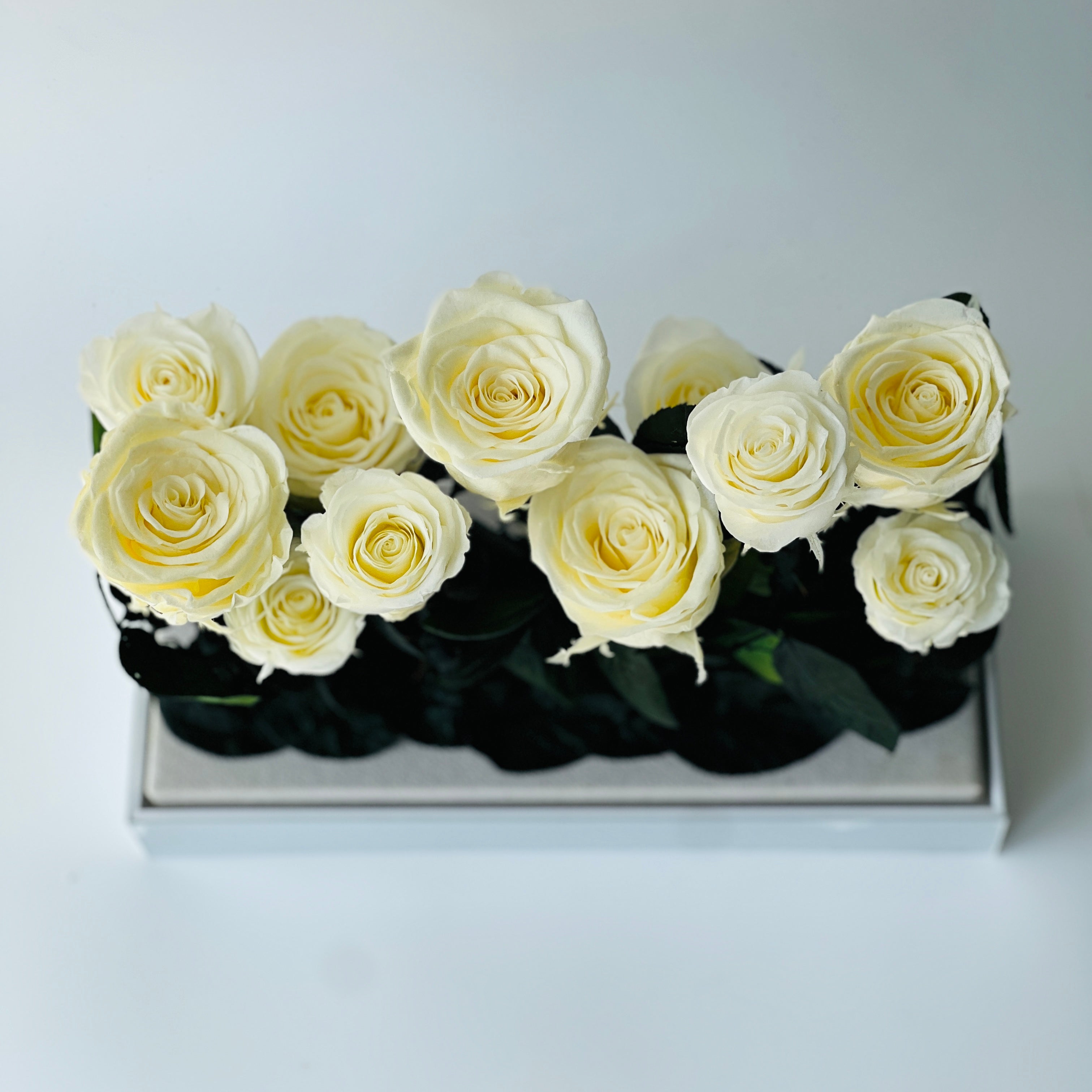 Elegant preserved buttermilk yellow roses arranged in a sleek rectangular box, complemented by deep green foliage. A timeless eternity rose gift perfect for lasting beauty and sophistication.