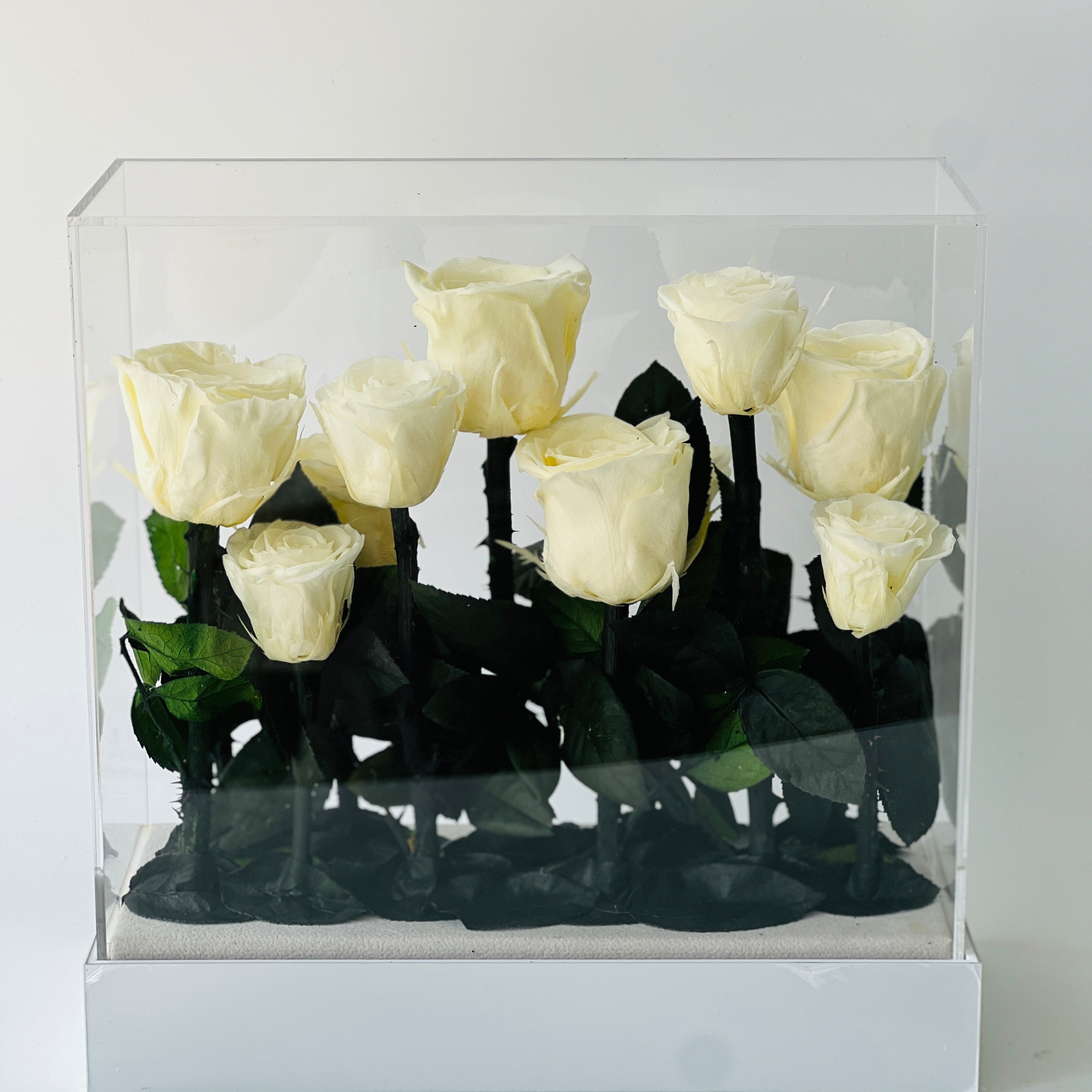 Elegant preserved buttermilk yellow roses arranged in a sleek rectangular box, complemented by deep green foliage. A timeless eternity rose gift perfect for lasting beauty and sophistication.