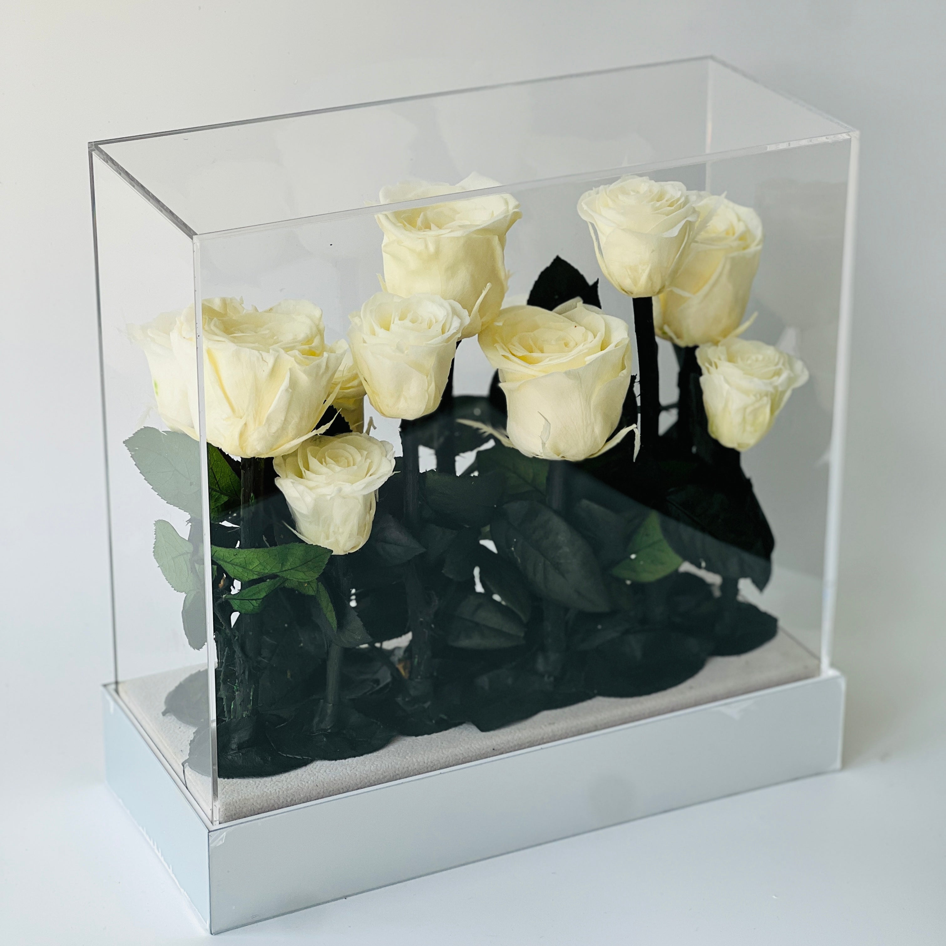 Elegant preserved buttermilk yellow roses arranged in a sleek rectangular box, complemented by deep green foliage. A timeless eternity rose gift perfect for lasting beauty and sophistication.