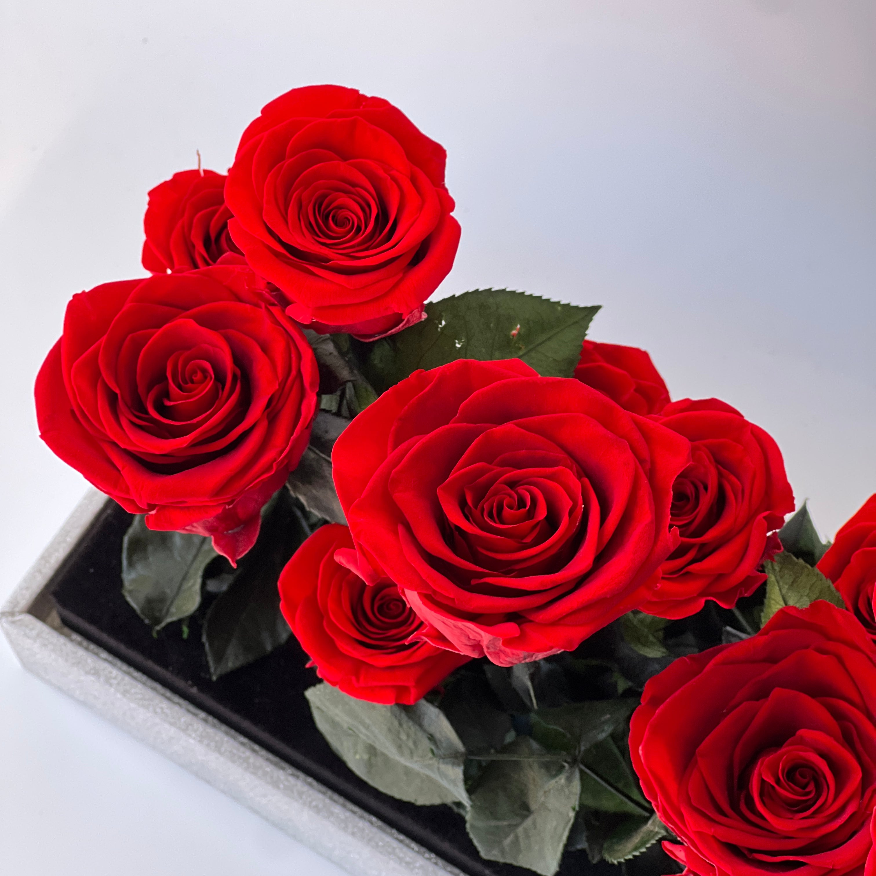 Vibrant preserved red roses arranged in a sleek black box, creating a bold and elegant display. Perfect as an eternity rose gift for lasting beauty and sophistication.