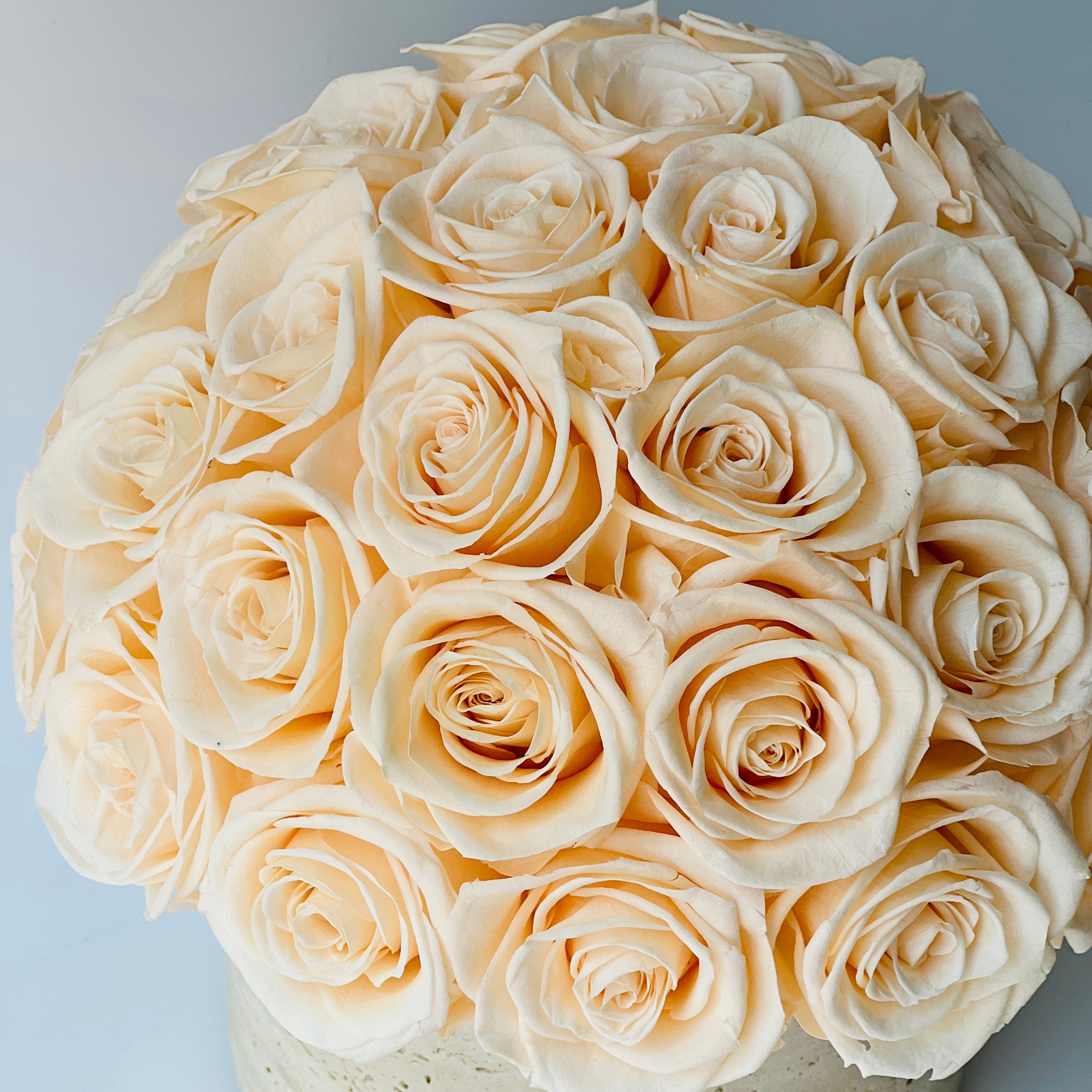 A soothing dome of preserved creamy yellow roses in a round concrete pot, perfect as a lasting centerpiece or gift for minimalist and modern decor.