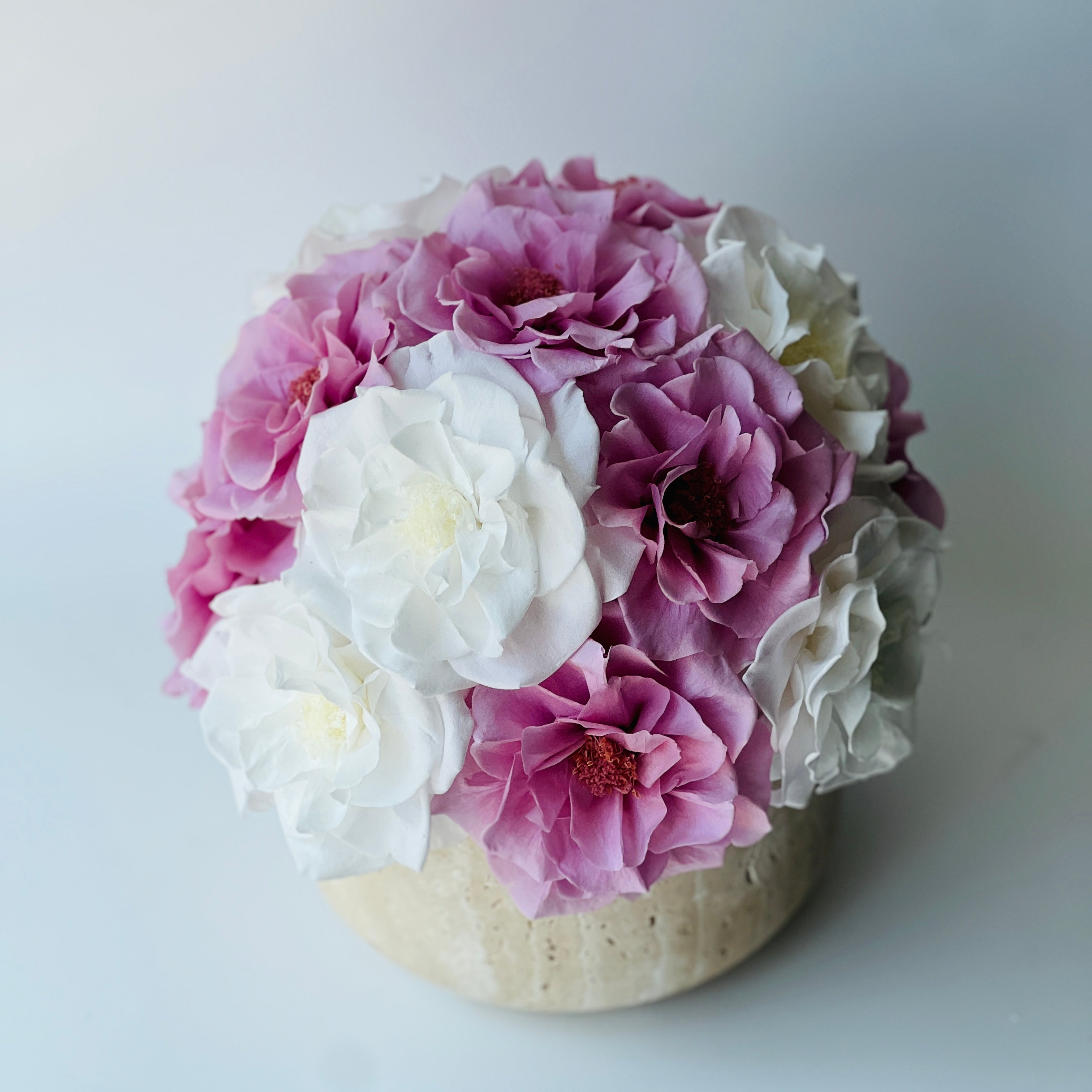 A charming dome of preserved white and purple roses, set in a stylish concrete vase, offers lasting elegance and sophistication without maintenance.