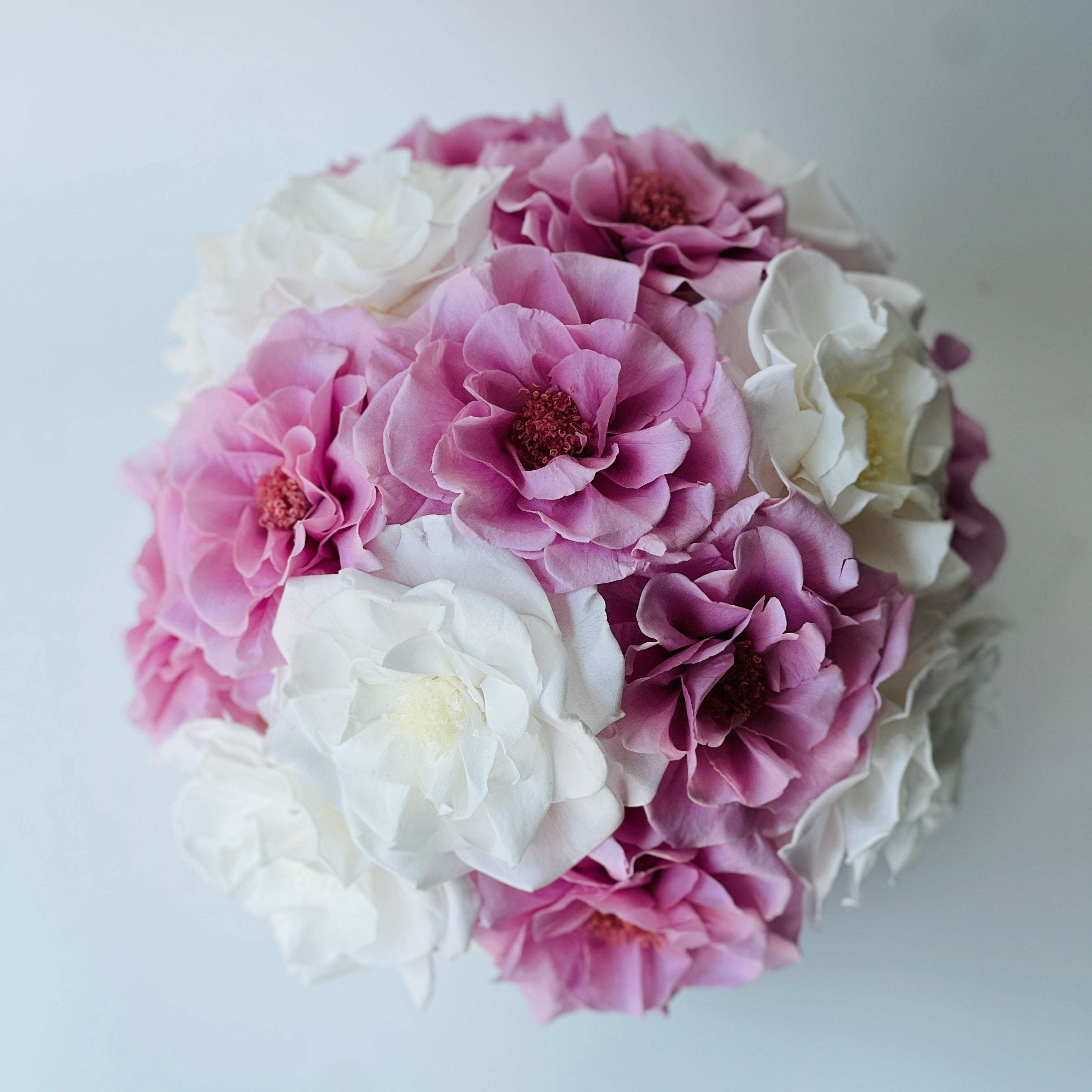 A charming dome of preserved white and purple roses, set in a stylish concrete vase, offers lasting elegance and sophistication without maintenance.