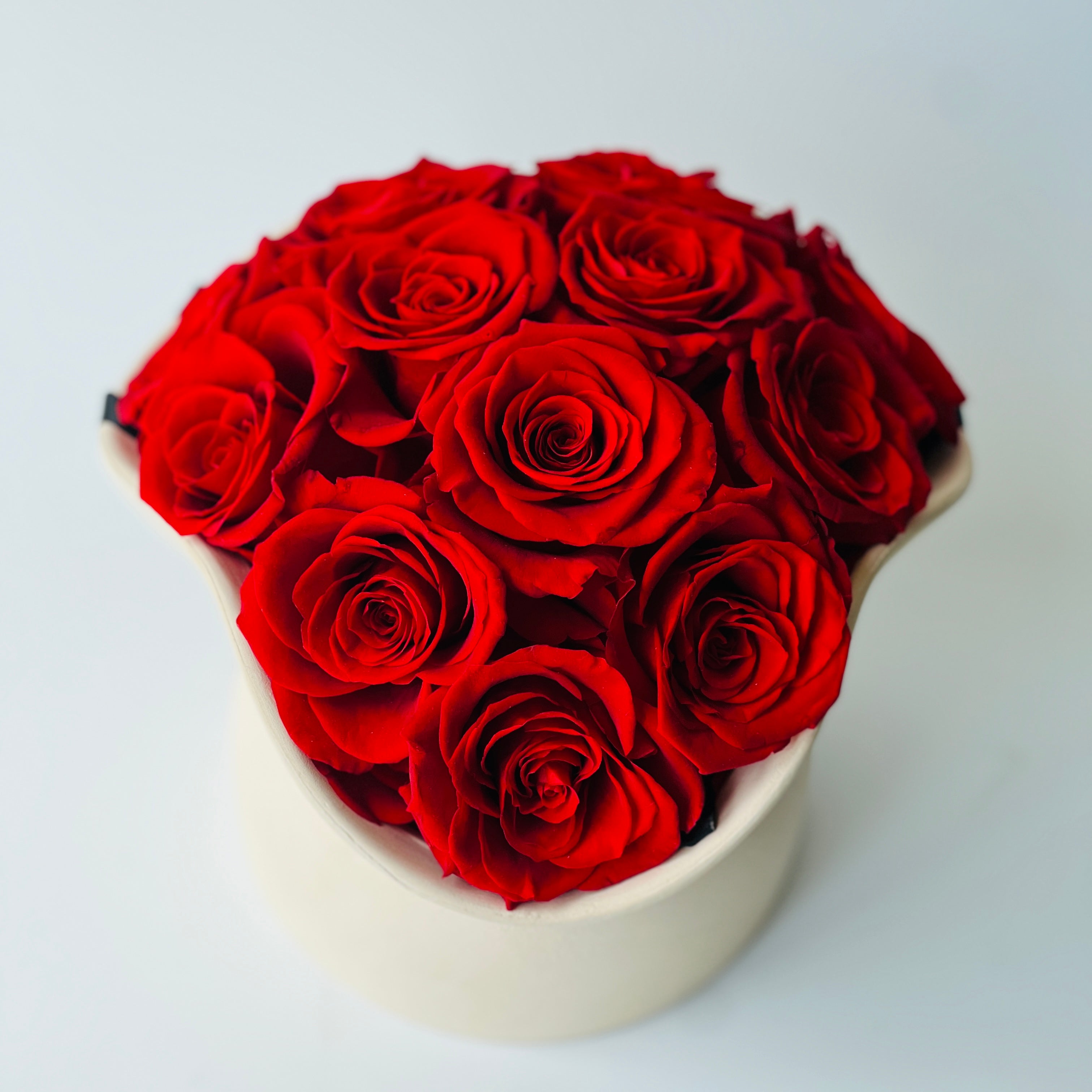 Deep red preserved roses in a cream ceramic pitcher, combining classic beauty with rustic charm. Perfect as elegant decor or a lasting, maintenance-free gift.