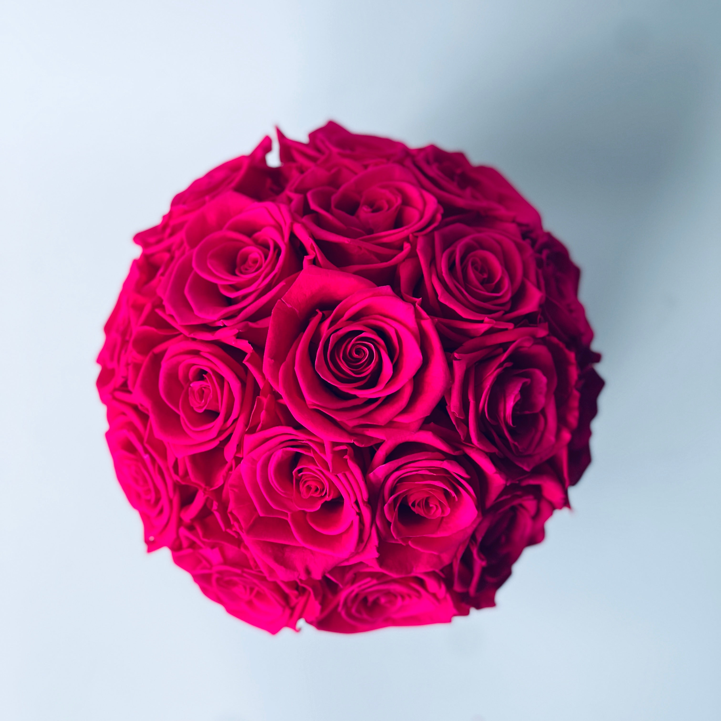 Hot Pink Roses in Black Vase: A bold sphere of preserved roses in a glossy black vase, offering a striking, maintenance-free touch of sophistication for any space.