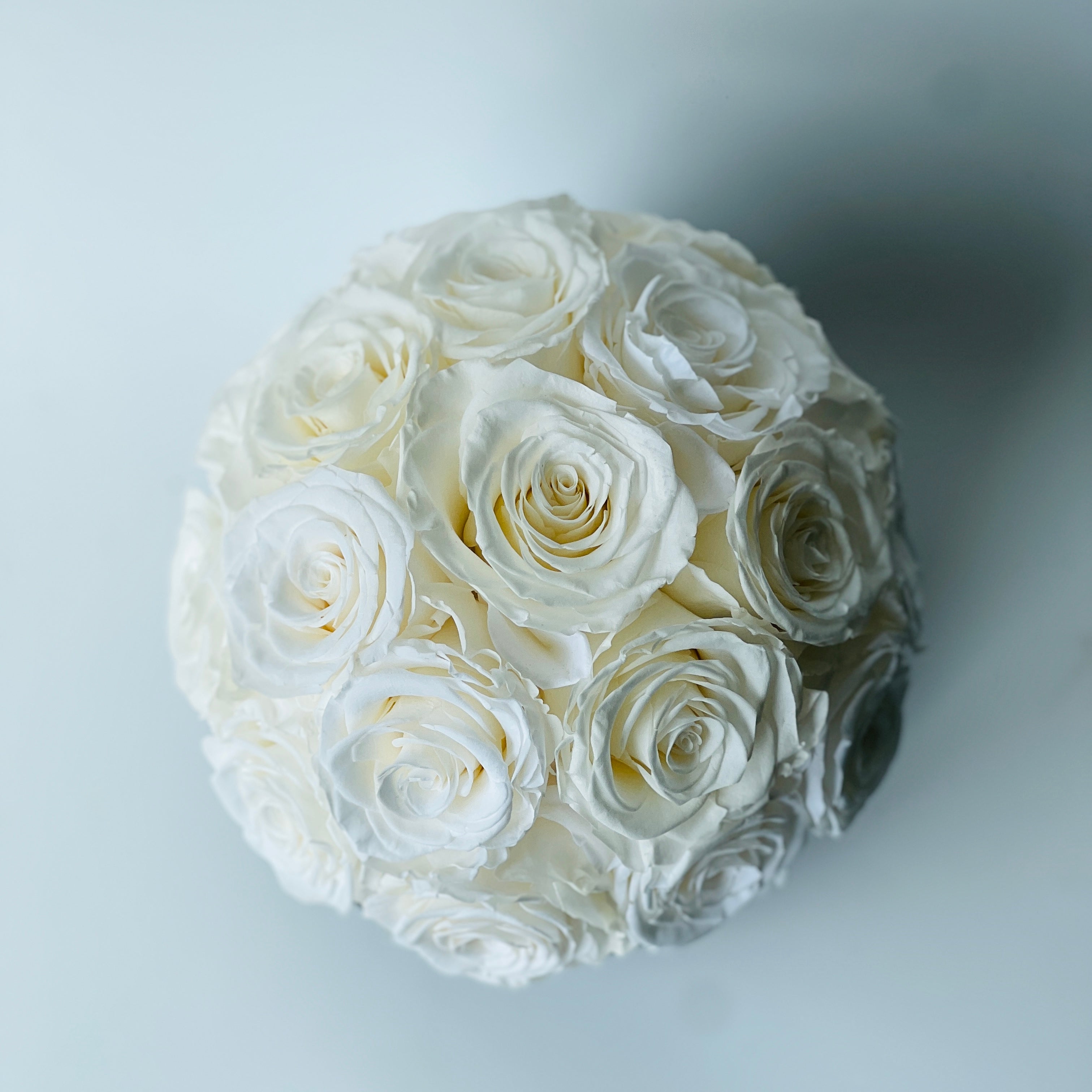 Ecuadorian White Roses in Black Vase: A striking sphere of preserved roses in a glossy vase, perfect for adding a touch of elegance to any space—no maintenance required.