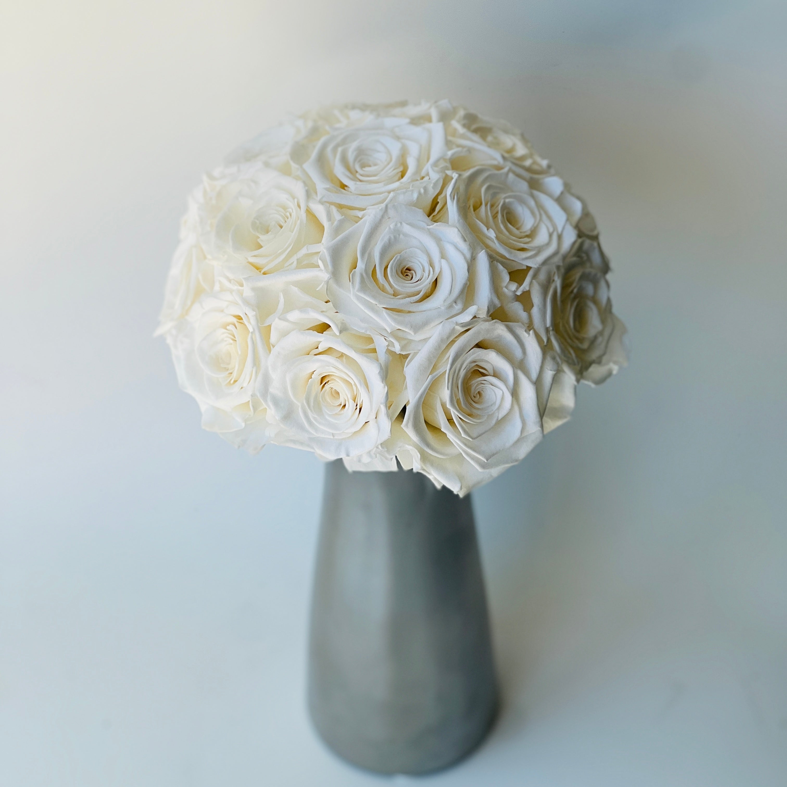 White Preserved Rose Bouquet: Sixteen preserved white roses in a modern vase, offering lasting beauty without maintenance—ideal for home decor or gifting.