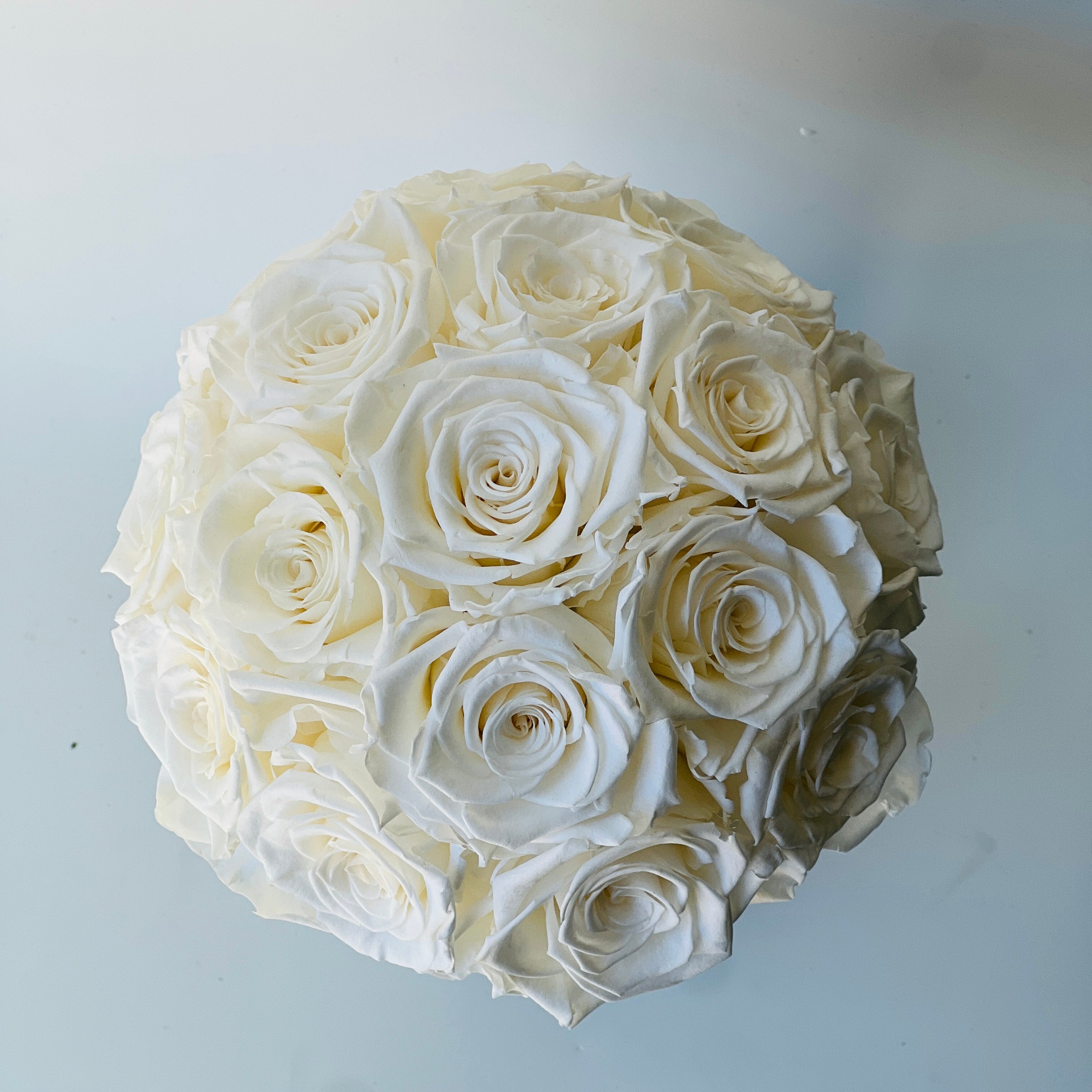 White Preserved Rose Bouquet: Sixteen preserved white roses in a modern vase, offering lasting beauty without maintenance—ideal for home decor or gifting.