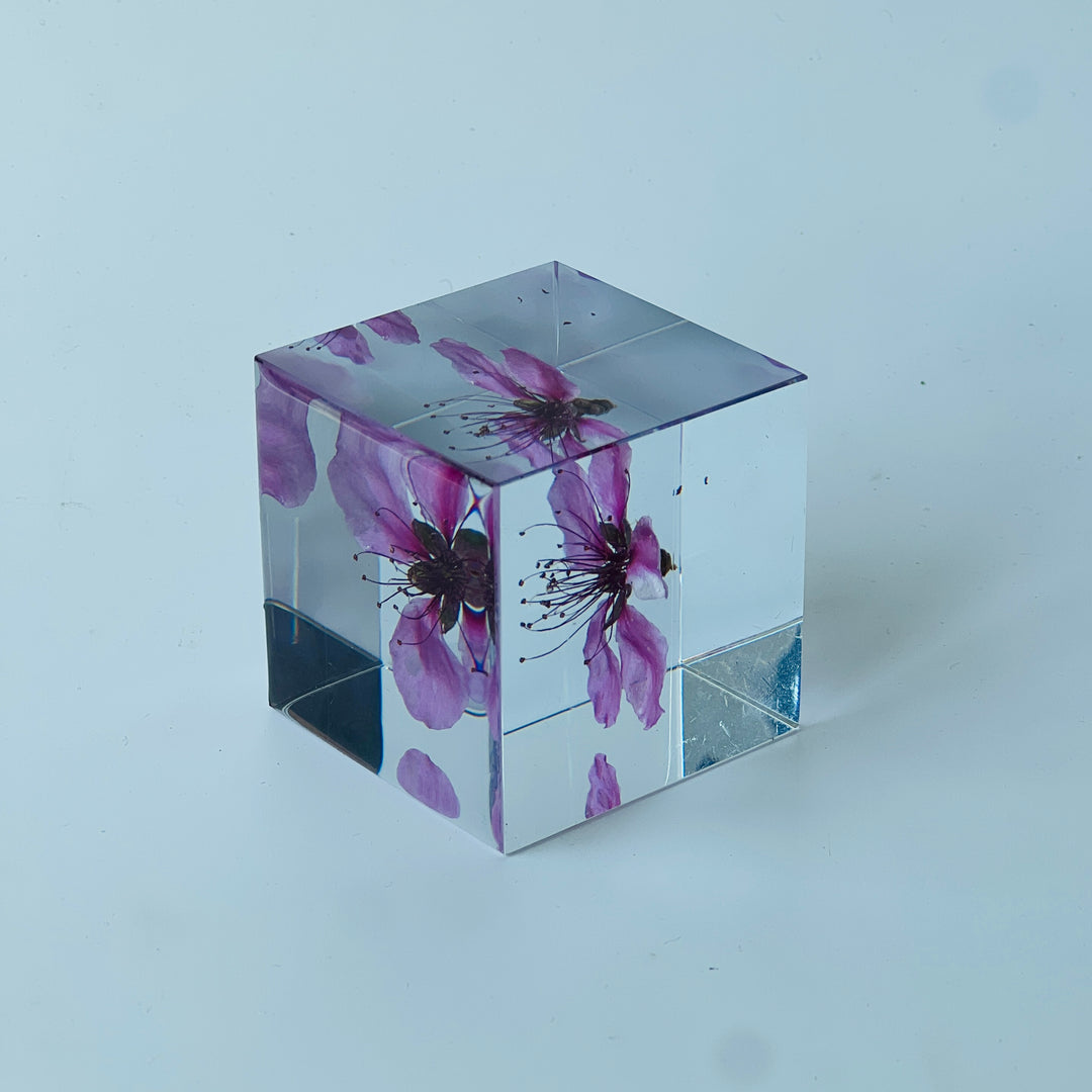 Solo Cube - Peach Blossom