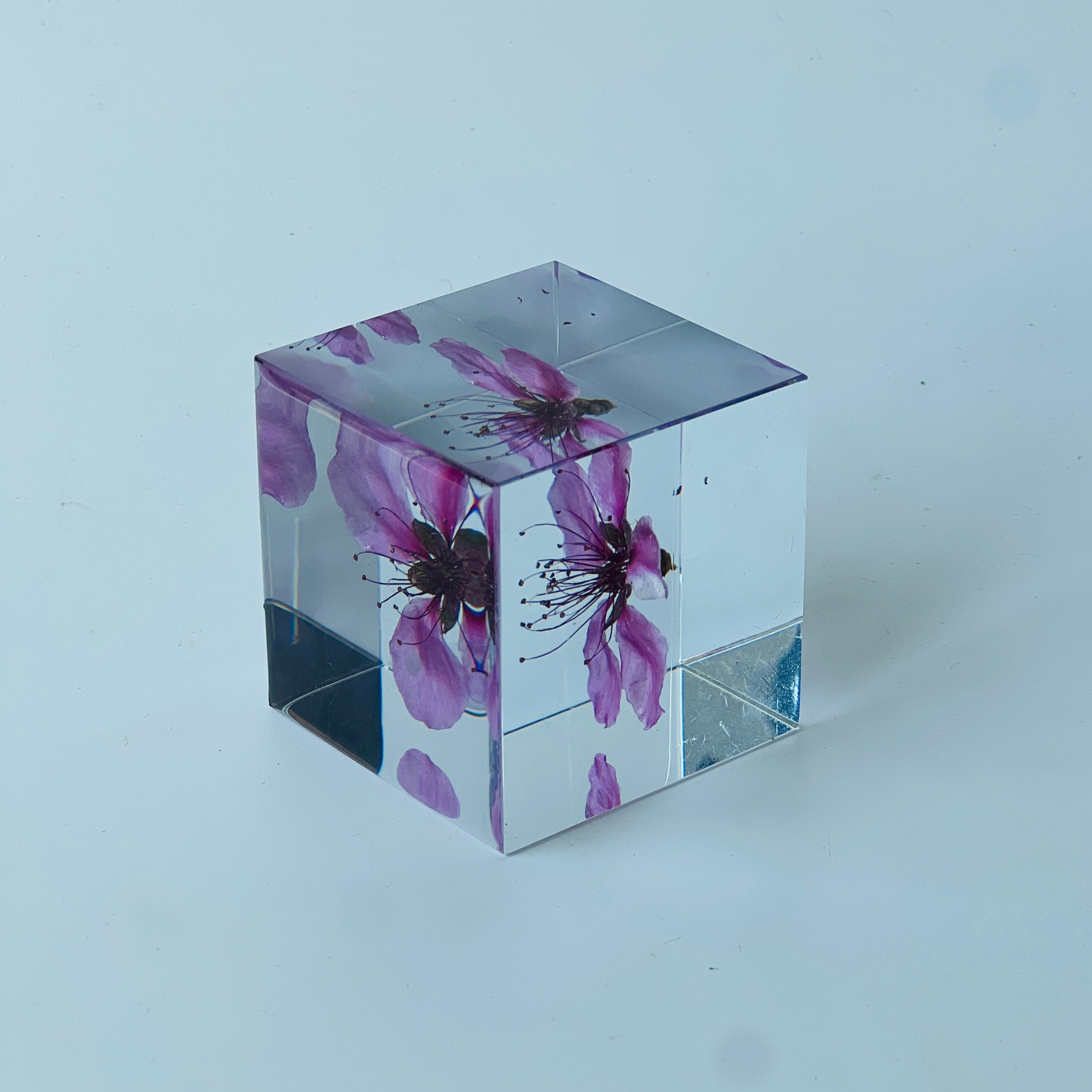 Peach blossom beautifully preserved in a inch resin cube, showcasing its vibrant hues from every angle. A perfect, maintenance-free decor piece or heartfelt gift for any occasion.