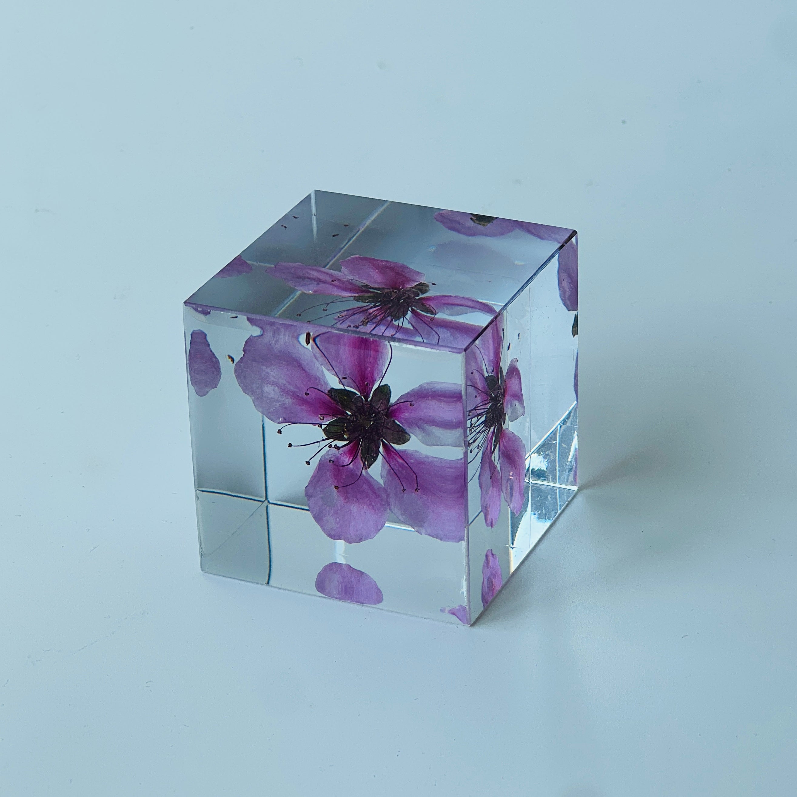 Peach blossom beautifully preserved in a inch resin cube, showcasing its vibrant hues from every angle. A perfect, maintenance-free decor piece or heartfelt gift for any occasion.