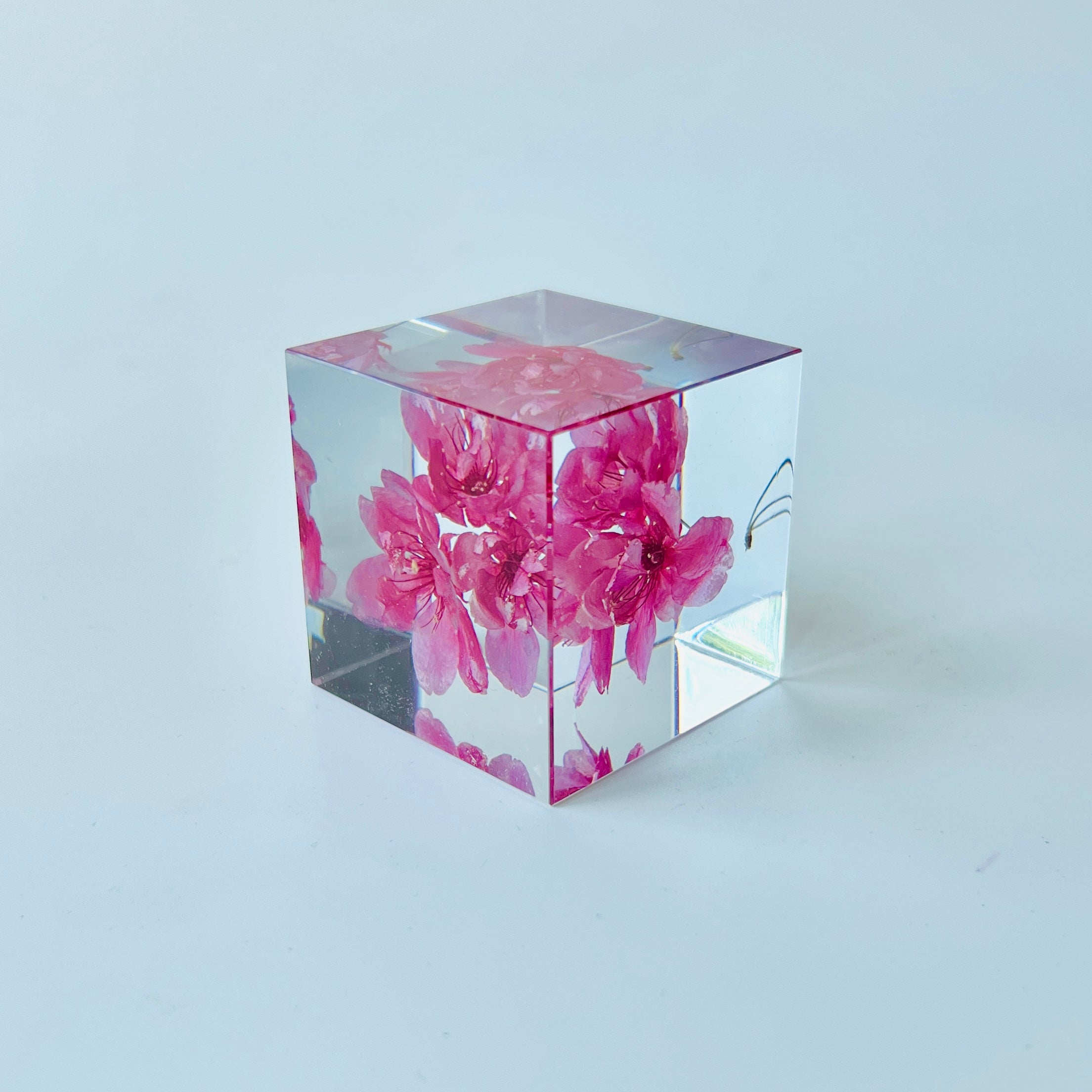 Preserved pink cherry blossom elegantly displayed in a inch clear resin cube, offering a stunning 360-degree view. Perfect as a timeless, low-maintenance decor or thoughtful gift.