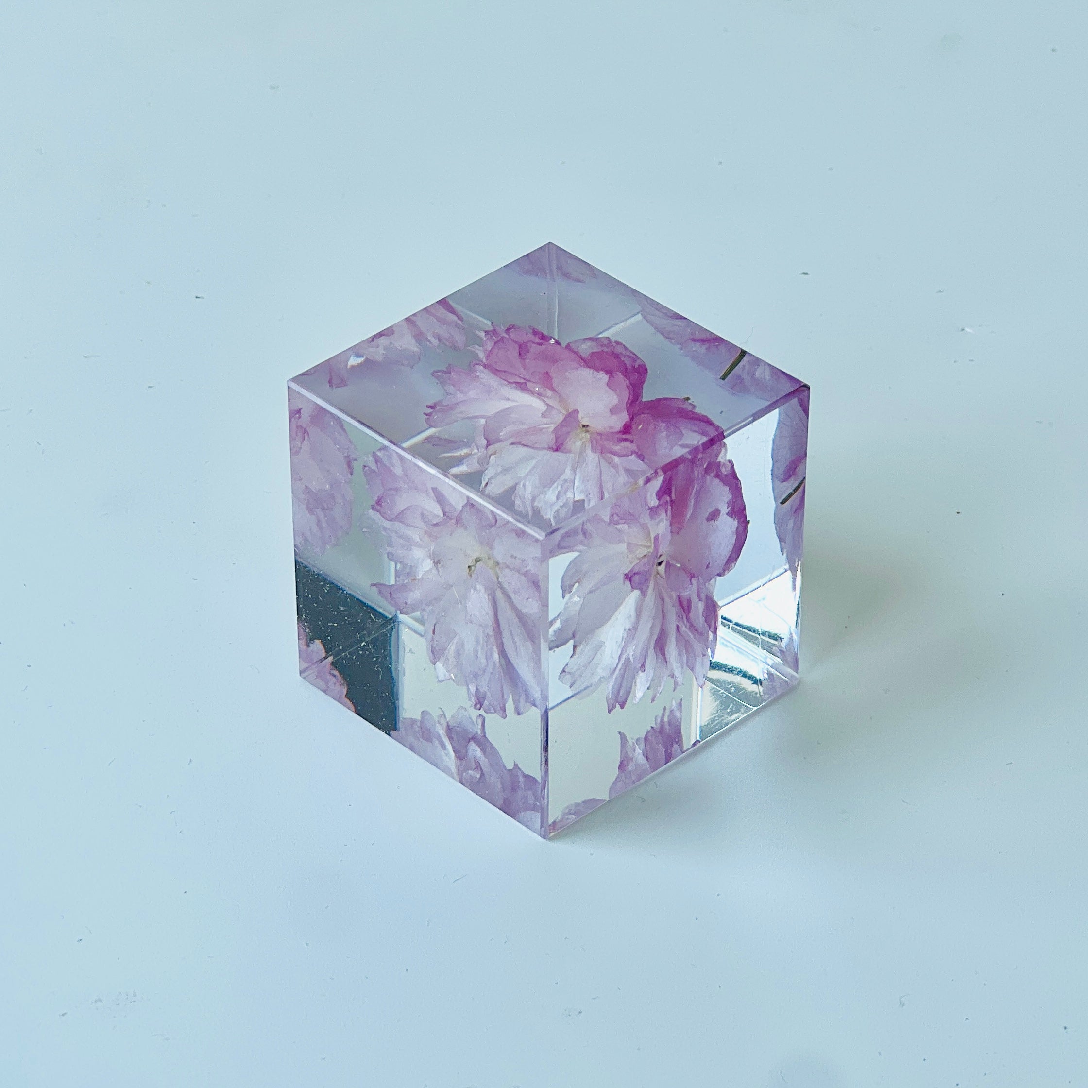 Preserved pink cherry blossom encased in a clear resin cube, offering a 360-degree view of the flower's elegance. Perfect as a decorative piece or a thoughtful, low-maintenance gift.