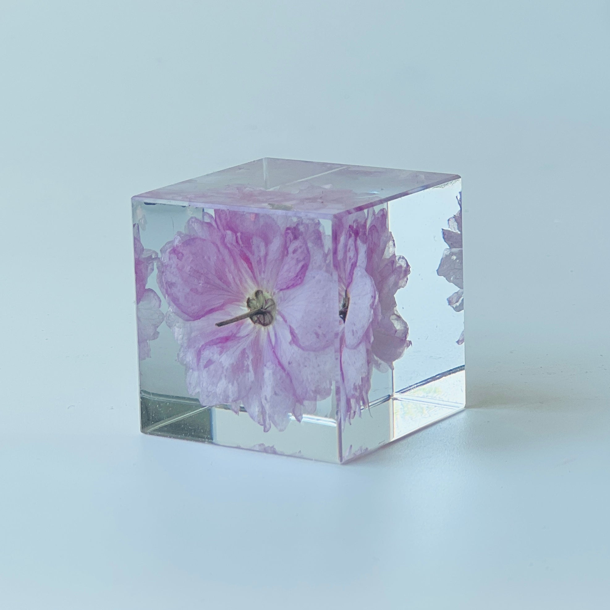 Preserved pink cherry blossom encased in a clear resin cube, offering a 360-degree view of the flower's elegance. Perfect as a decorative piece or a thoughtful, low-maintenance gift.