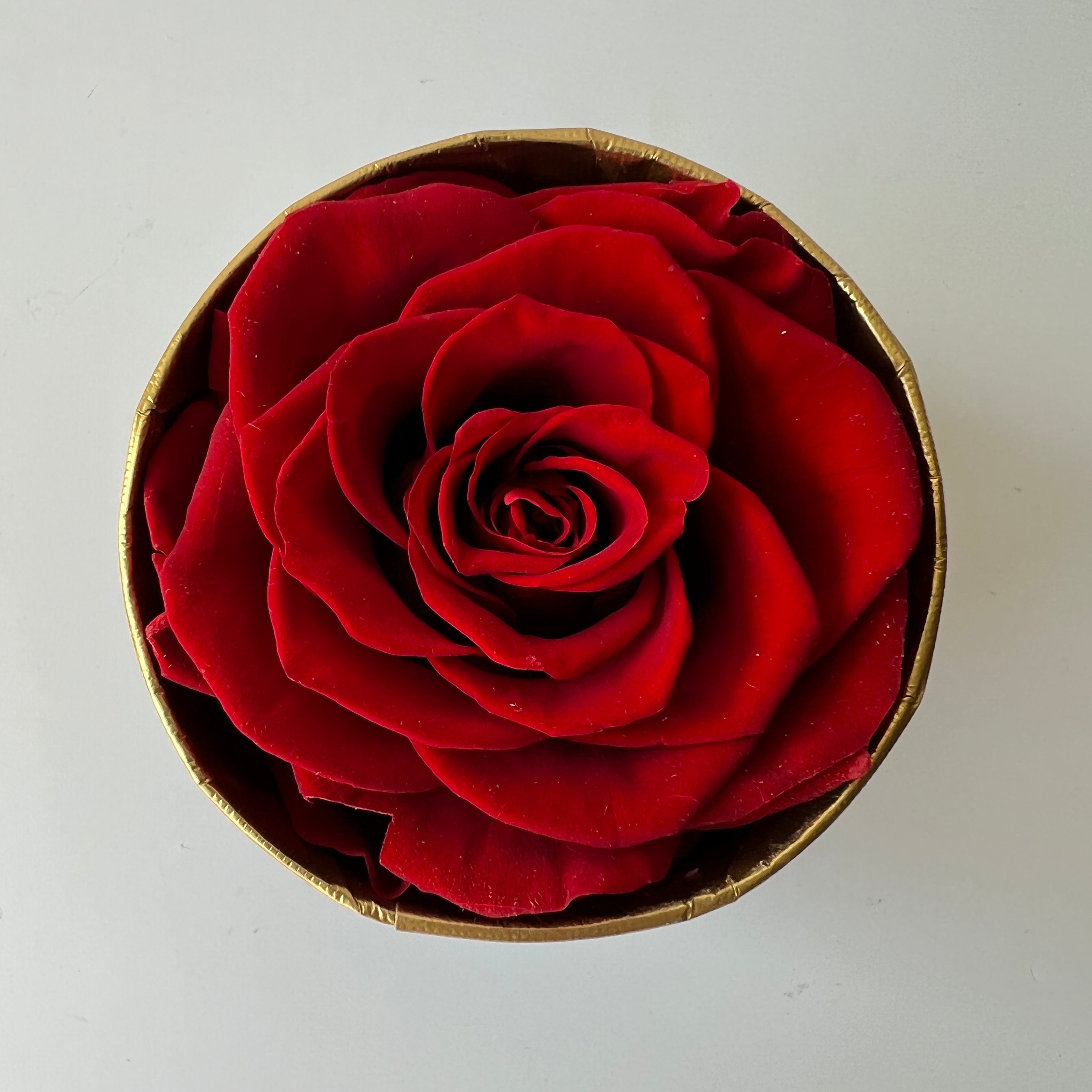 The Solitaire Red Rose Mini Hatbox features a single preserved red rose encased in a matte black box, symbolizing timeless love and devotion. This elegant eternity rose gift requires no care, offering lasting beauty for any special occasion.