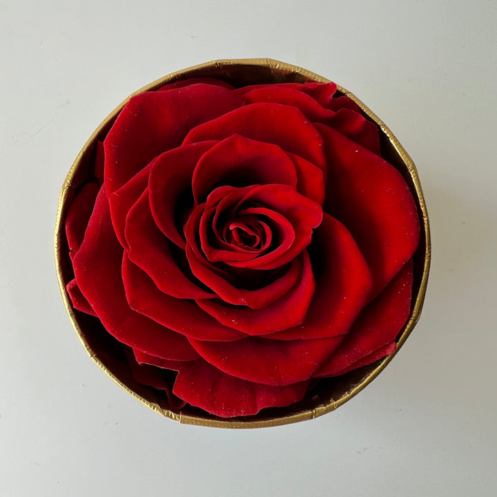 Solitary Red Rose Mini Hatbox