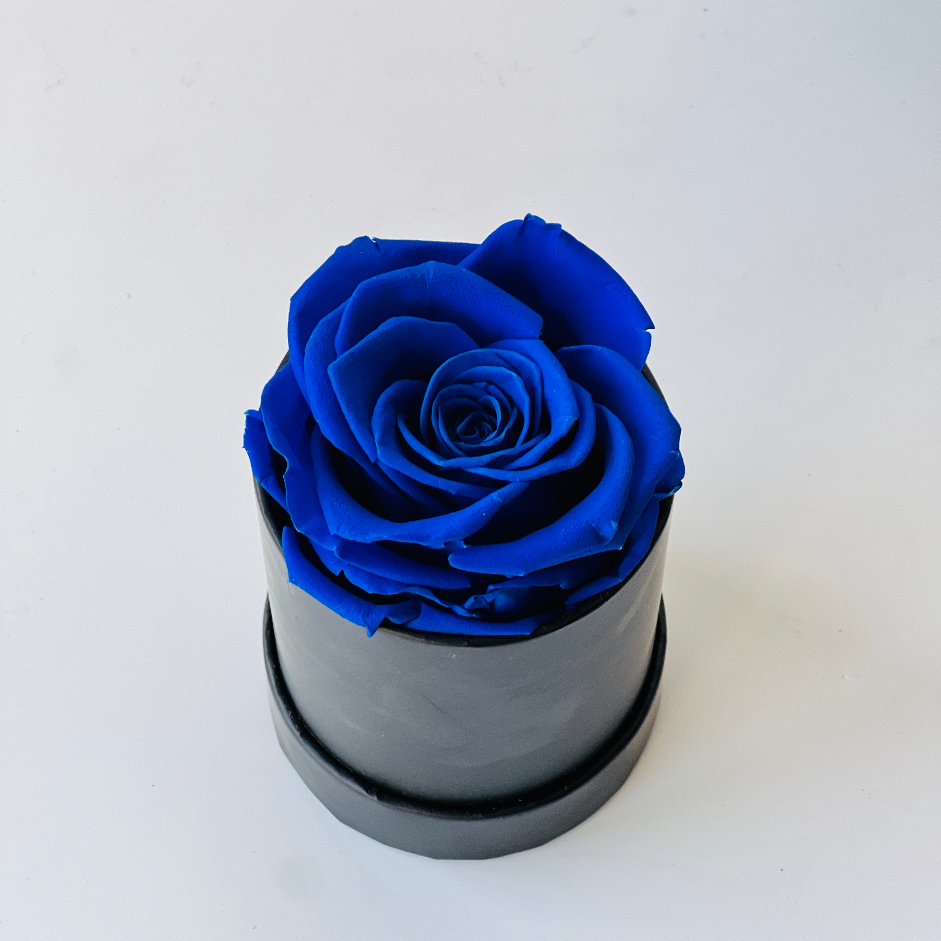 The Midnight Blue Rose in Sleek Cylinder features a single preserved blue rose encased in a modern matte black cylinder. This elegant eternity rose gift adds a touch of sophistication and vivid color to any space, perfect for special occasions or as a unique decorative piece.