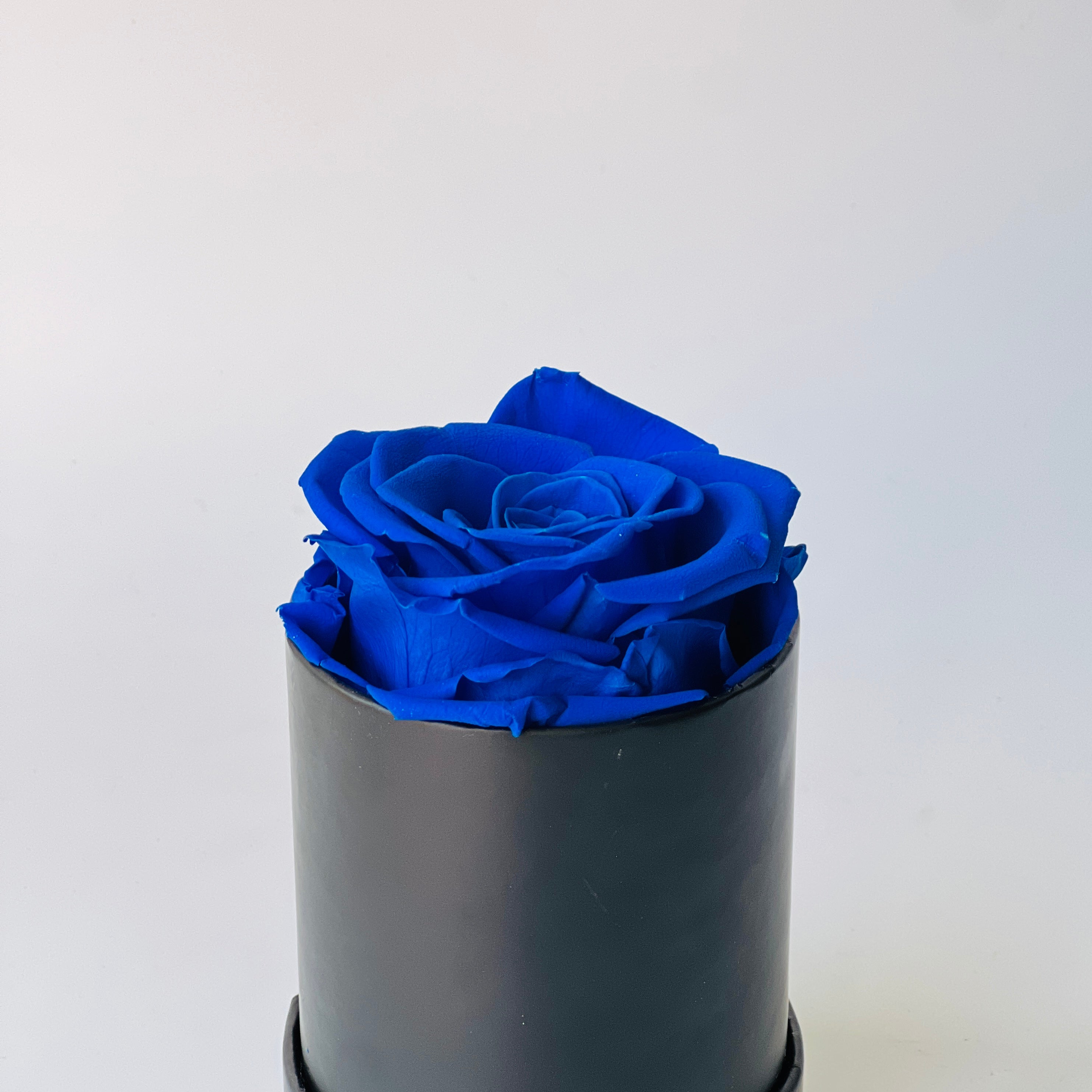 The Midnight Blue Rose in Sleek Cylinder features a single preserved blue rose encased in a modern matte black cylinder. This elegant eternity rose gift adds a touch of sophistication and vivid color to any space, perfect for special occasions or as a unique decorative piece.