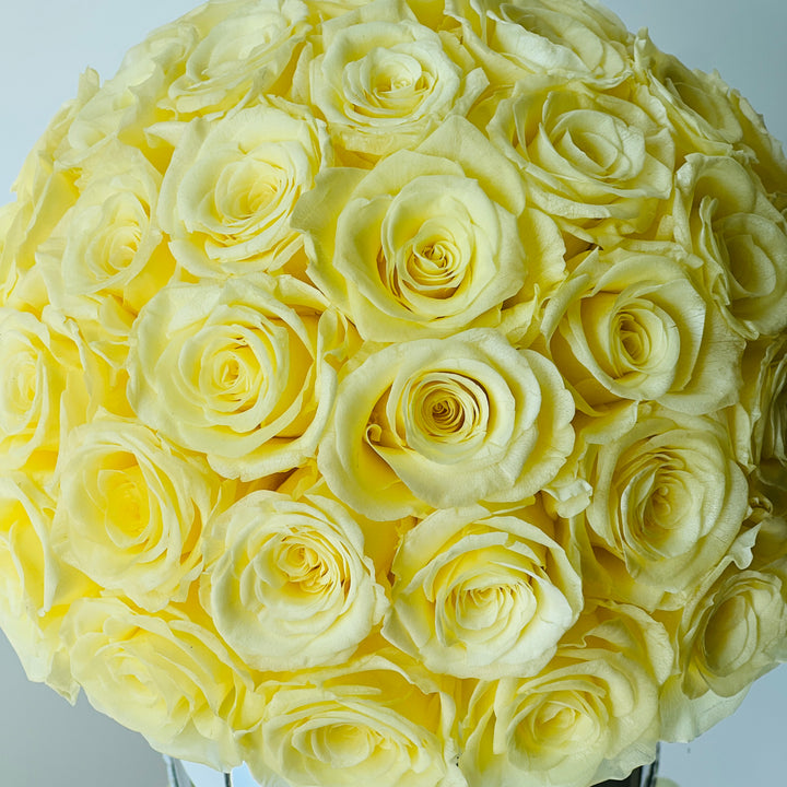 Yellow Rose Dome
