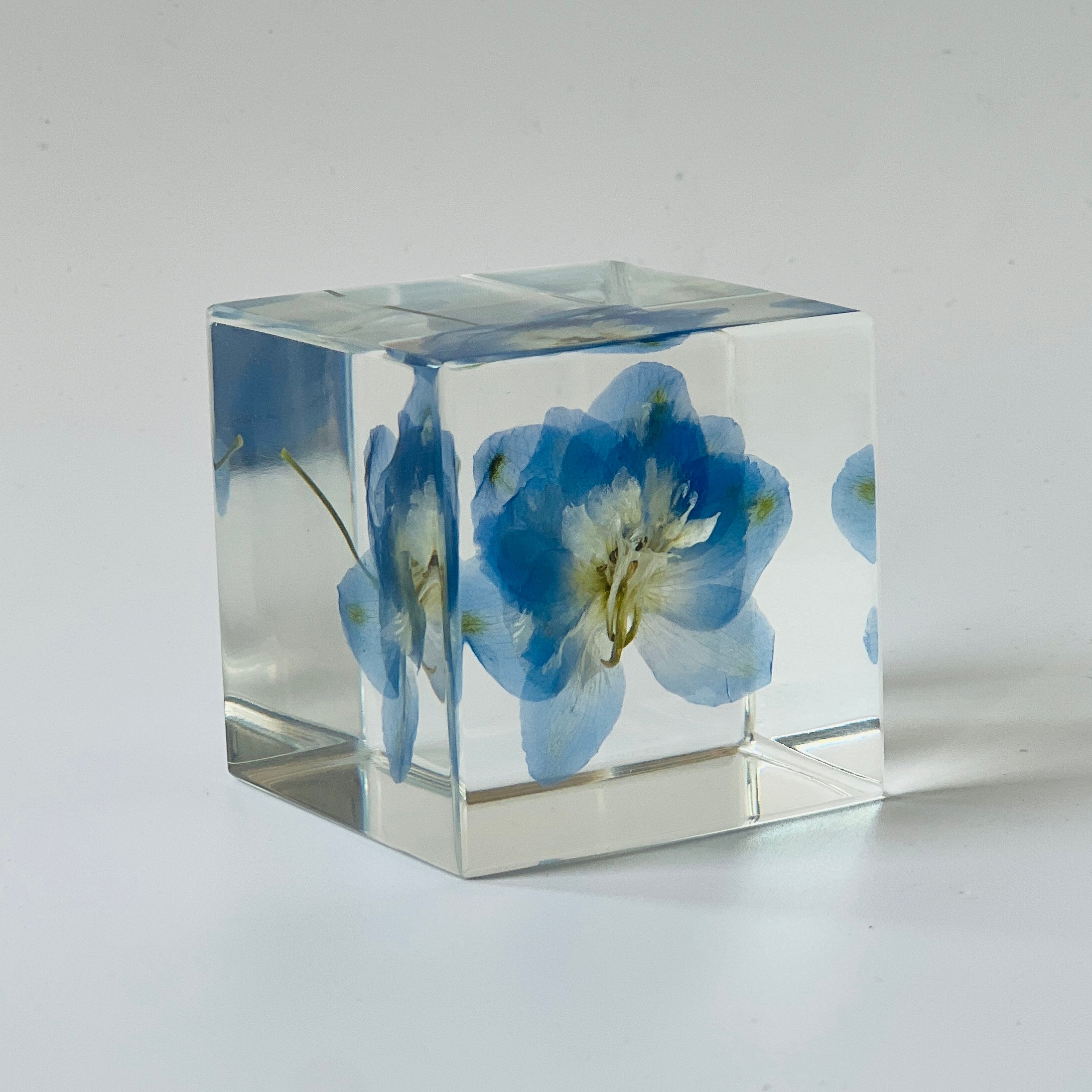 Preserved blue delphinium encased in a clear resin cube, showcasing vibrant colors and intricate details. A timeless decor piece, perfect for gifting or adding serene beauty to any space.