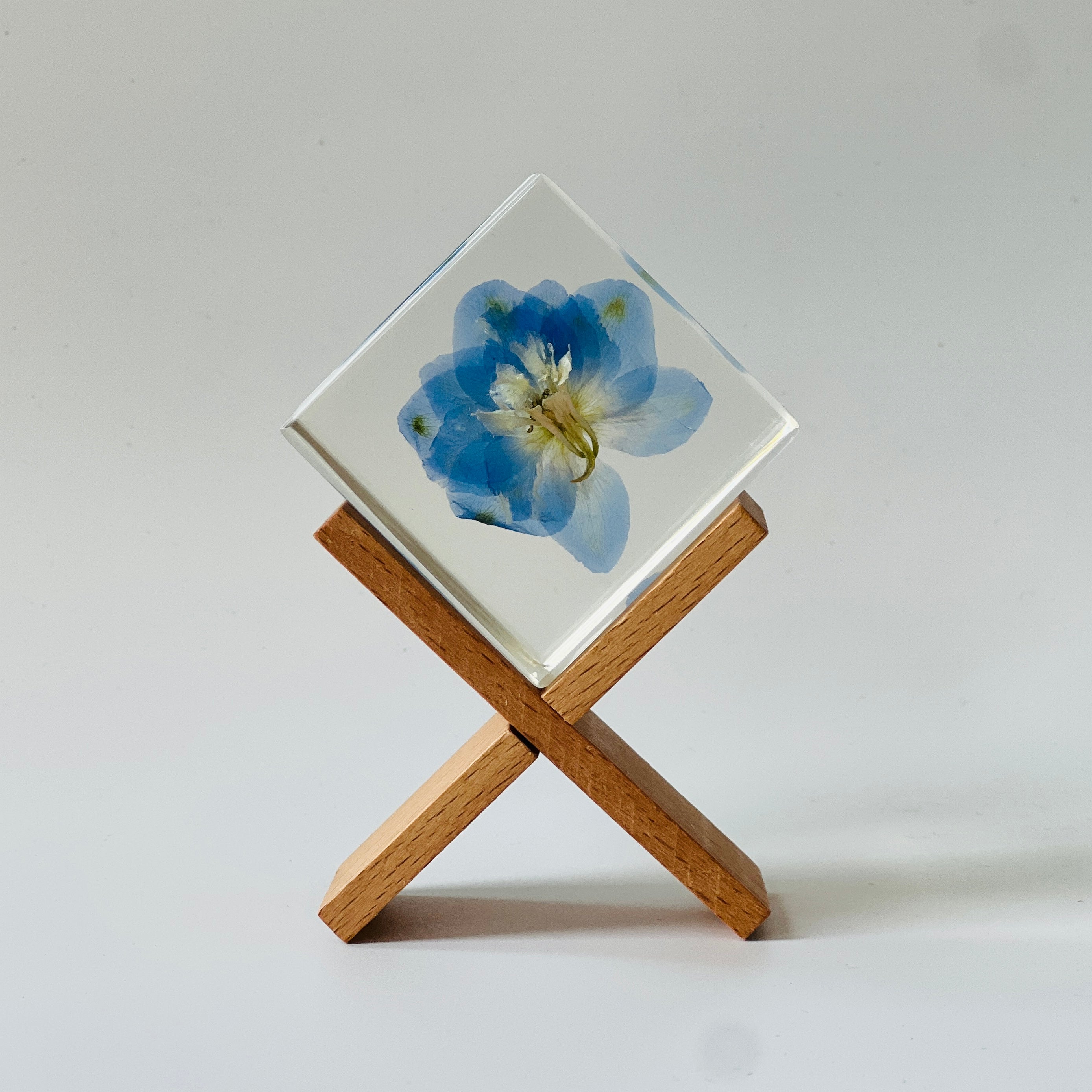 Preserved blue delphinium encased in a clear resin cube, showcasing vibrant colors and intricate details. A timeless decor piece, perfect for gifting or adding serene beauty to any space.