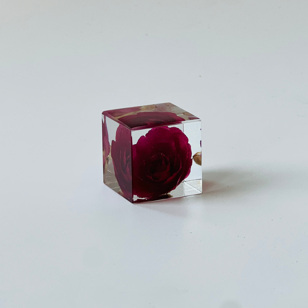 Solo Cube - Rose